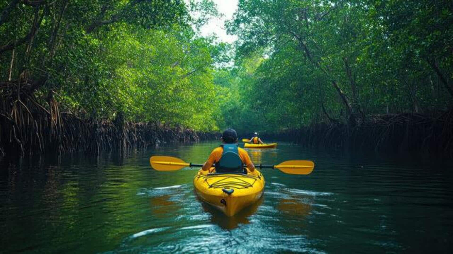 5 mangrove kayaking routes to explore 5 mangrove kayaking routes to explore