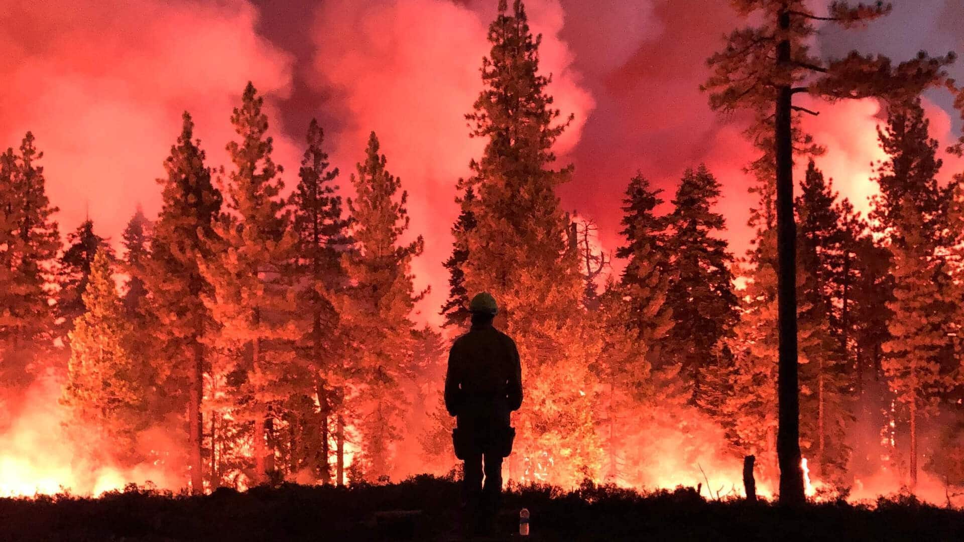 Only 2 years left to avoid 1.5°C warming, scientists warn Only 2 years left to avoid 1.5°C warming, scientists warn