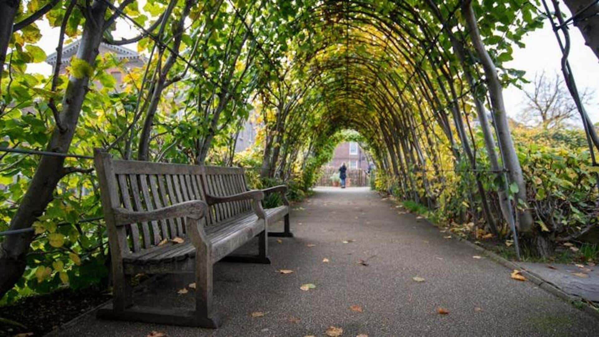 Have you been to London's hidden garden gems