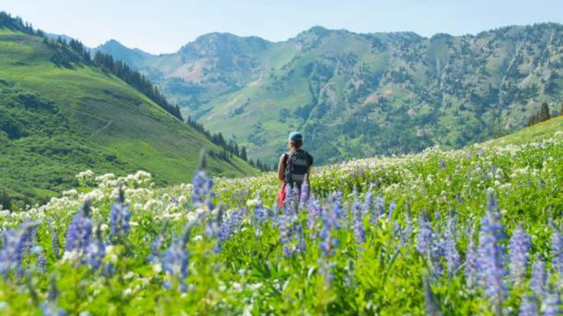 Nature lovers: You can't miss this stunning wildflower hike 