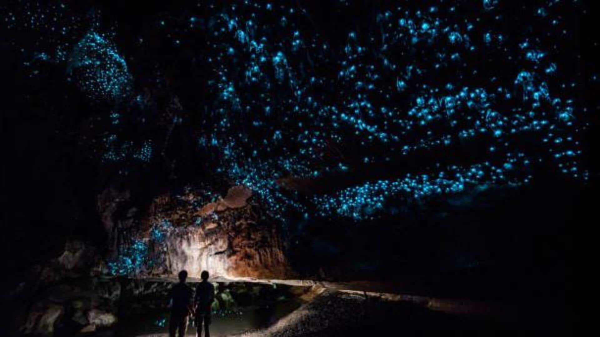 You must visit these glowworm caves in New Zealand