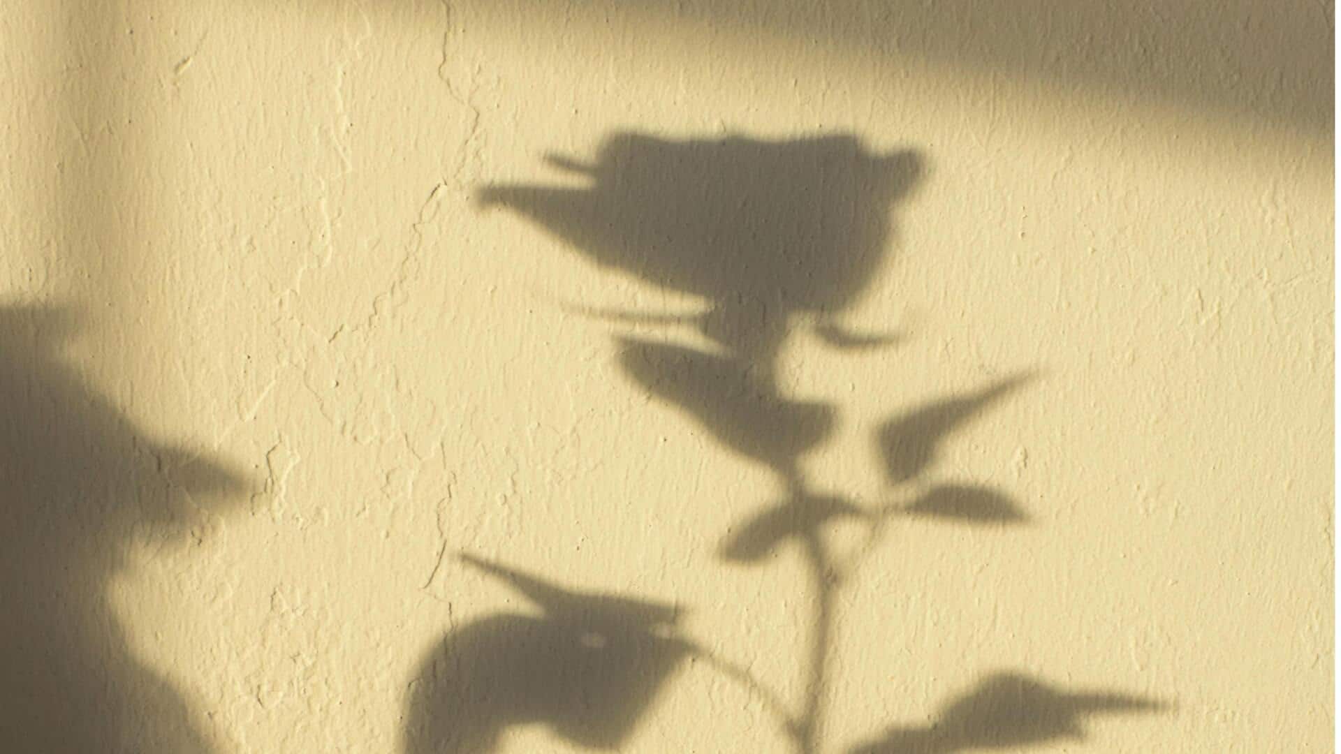 Add drama to your walls with monochrome art magic Add drama to your walls with monochrome art magic