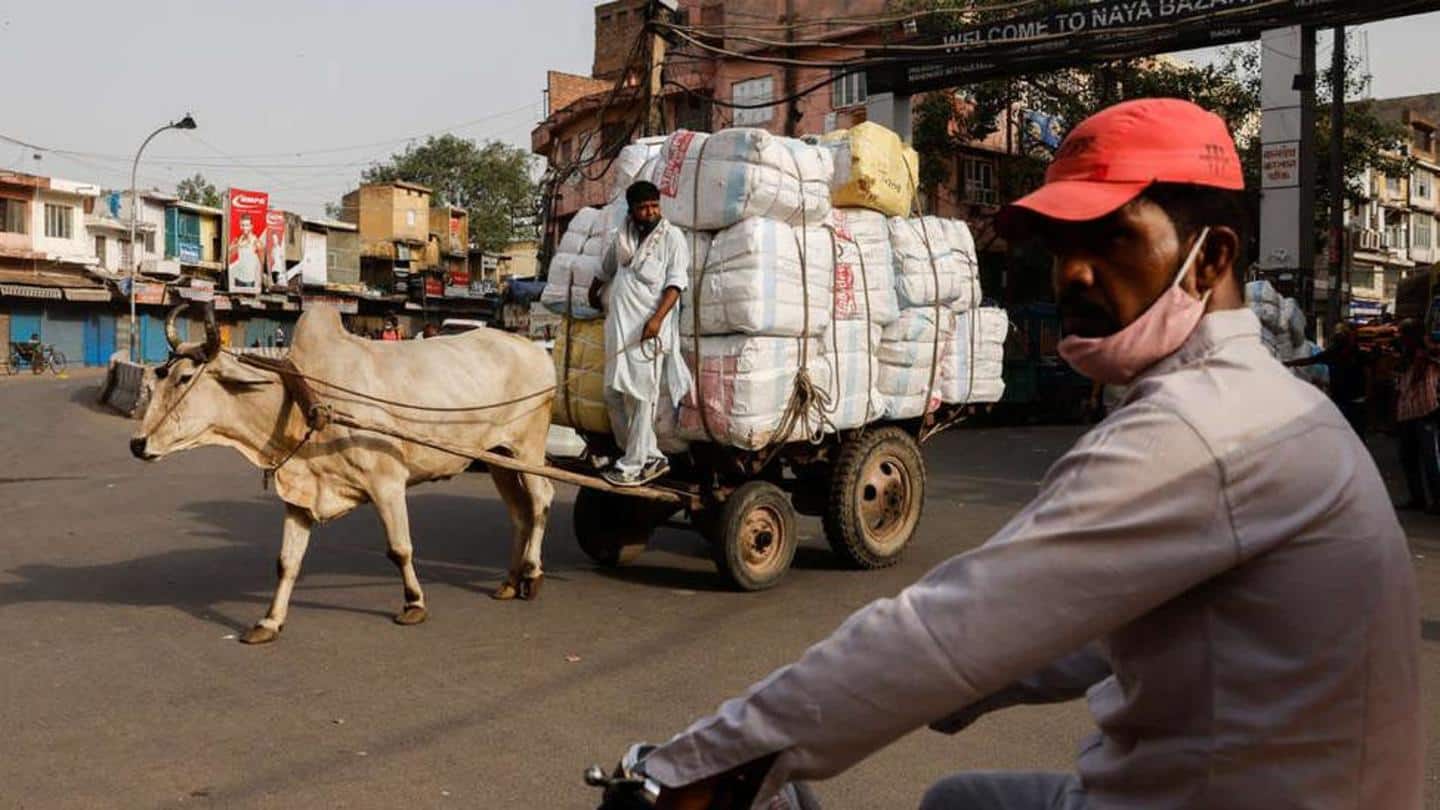 NDMC proposes alternative livelihood policy for bullock cart pullers, ironsmiths