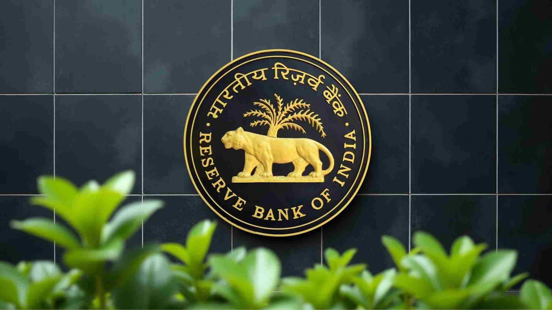 RBI shifts strategy: Cuts central deposits, boosts US Treasury bets 