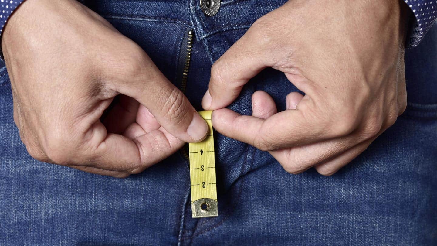 Rampant plastic use is causing human penises to shrink