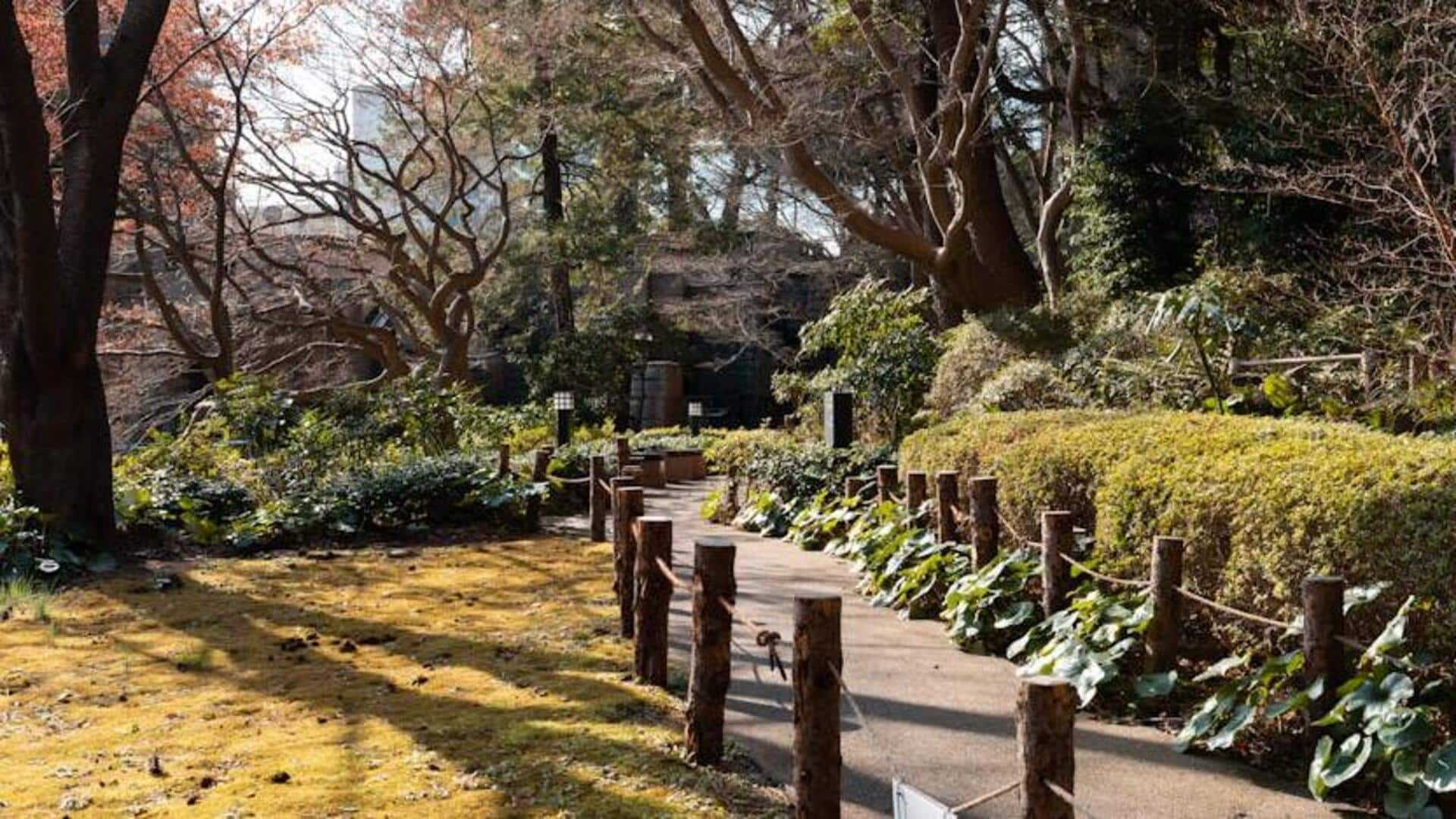 Tokyo's hidden garden retreats that are worth visiting