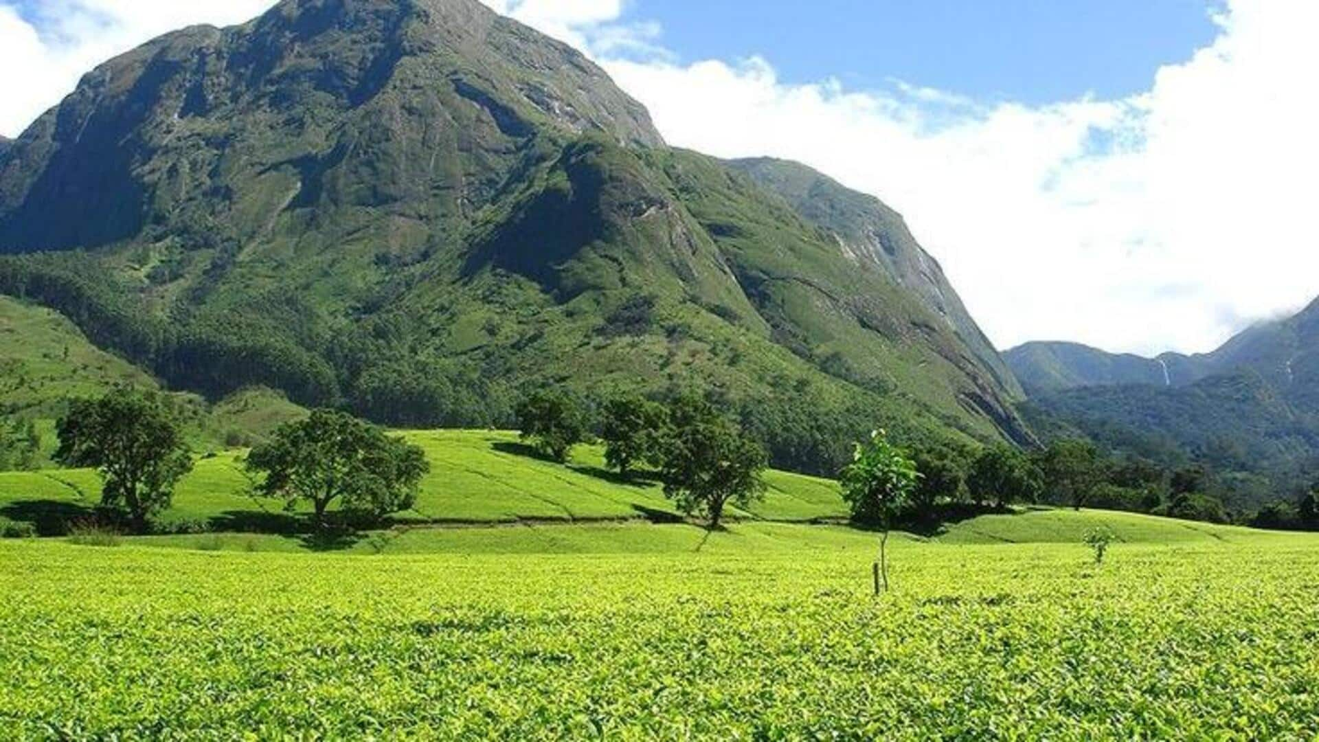 Exploring the caves of Mount Mulanje, Malawi