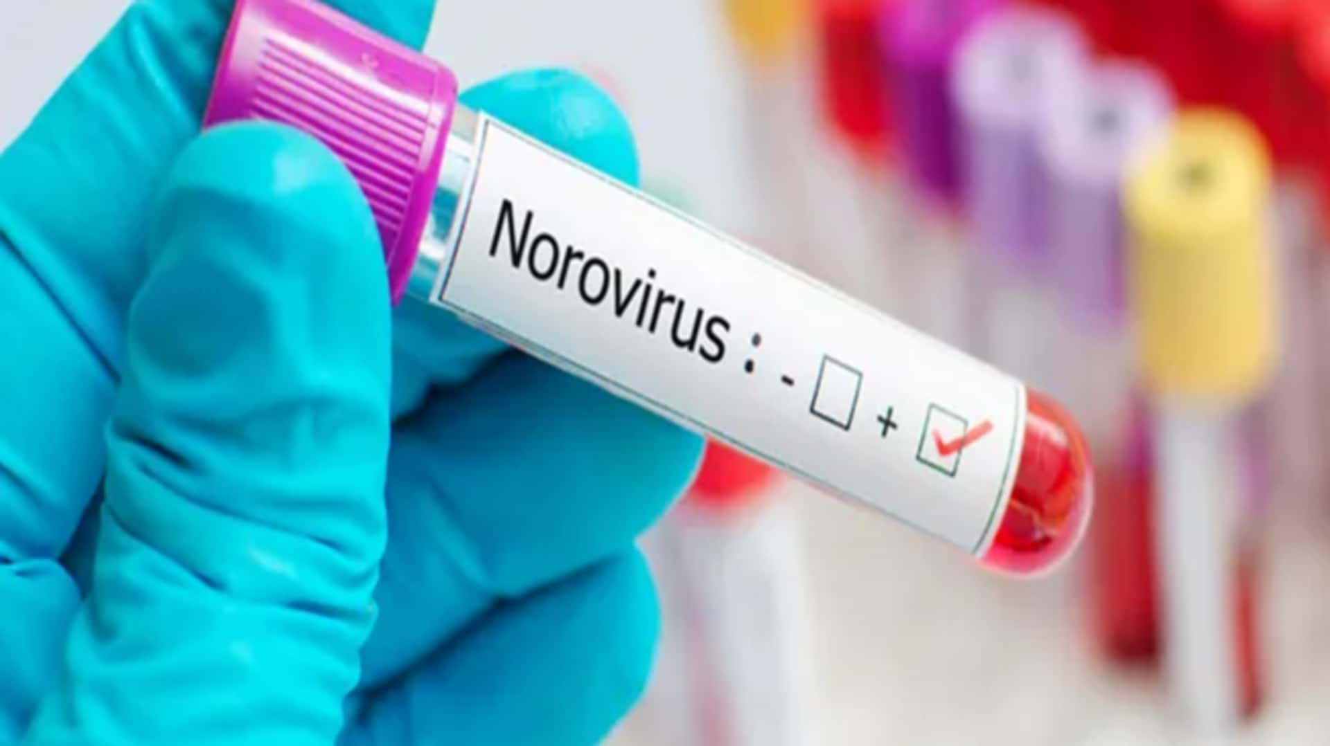 Norovirus cases in US: How it spreads; precautions to take