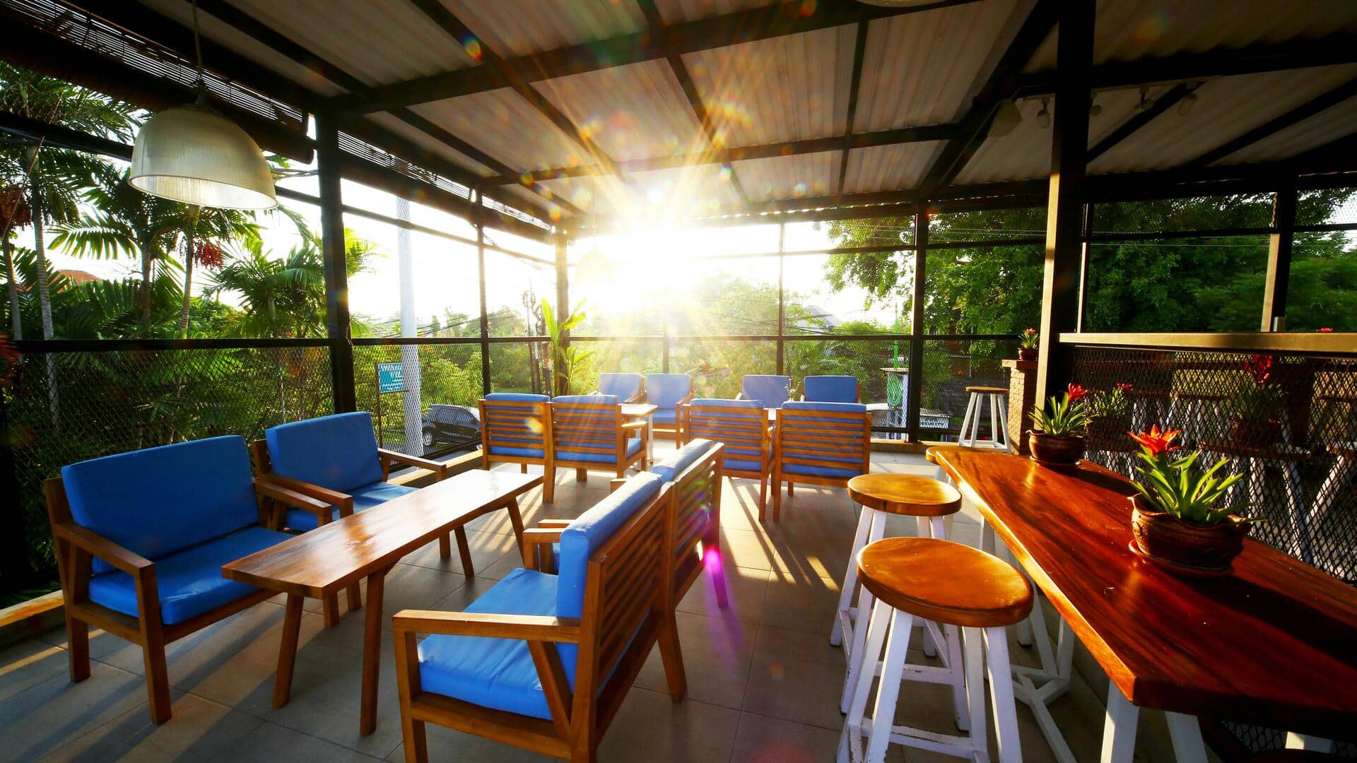 Why you should step into the sun every morning