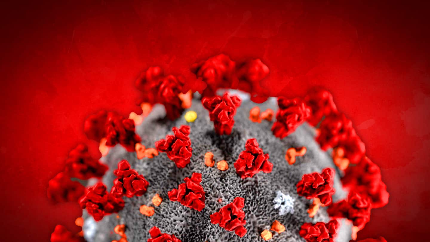 Coronavirus epidemic first hit over 21,000 years ago: Study Coronavirus epidemic first hit over 21,000 years ago: Study