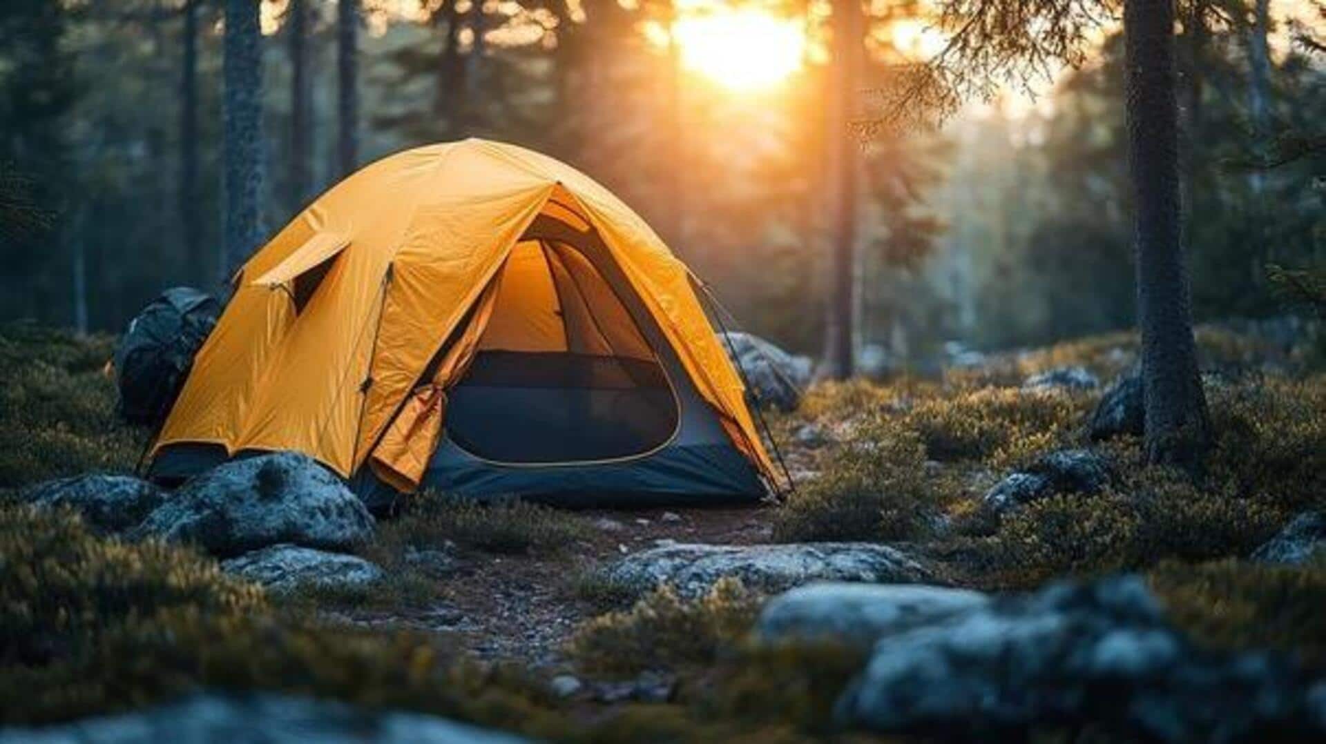 Bushcraft adventure: What makes wilderness camps so special 