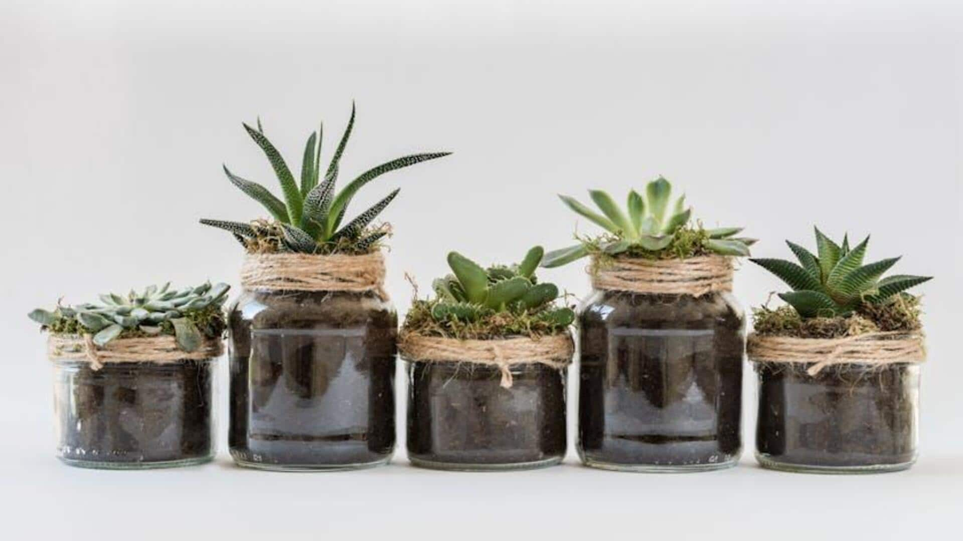 Keep your plants looking fresh with a simple hack 