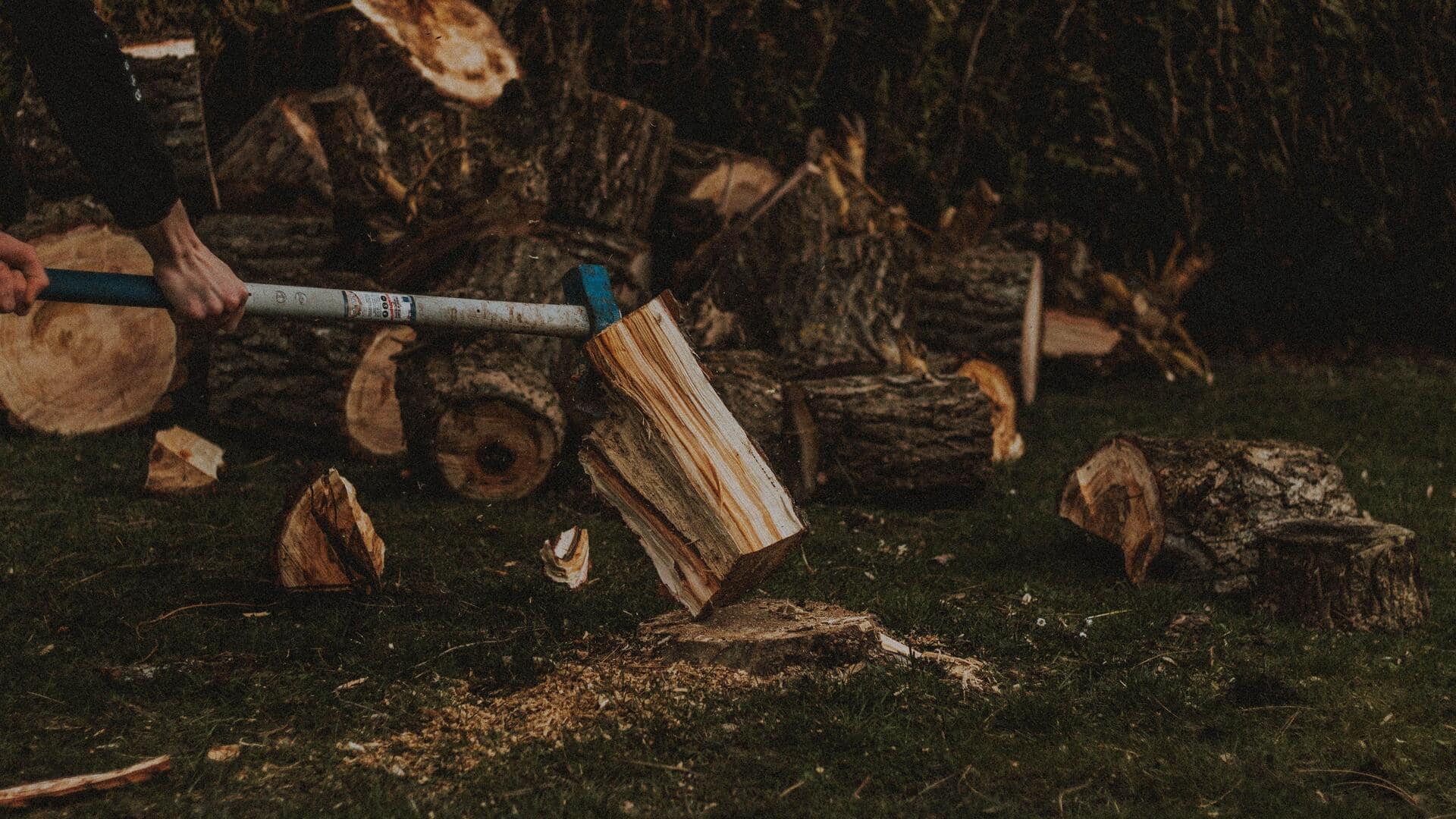 The surprising health benefits of chopping wood