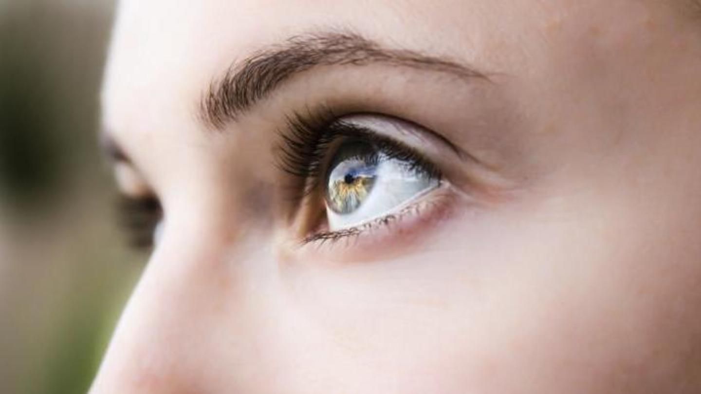 Contains zeaxanthin and lutein that protect the eyes Contains zeaxanthin and lutein that protect the eyes