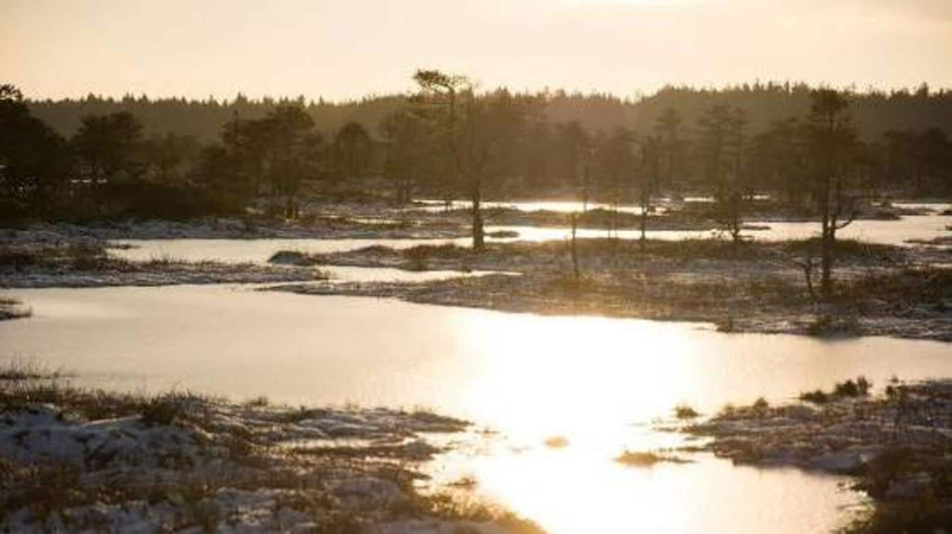 Estonia's most beautiful wetlands: A list