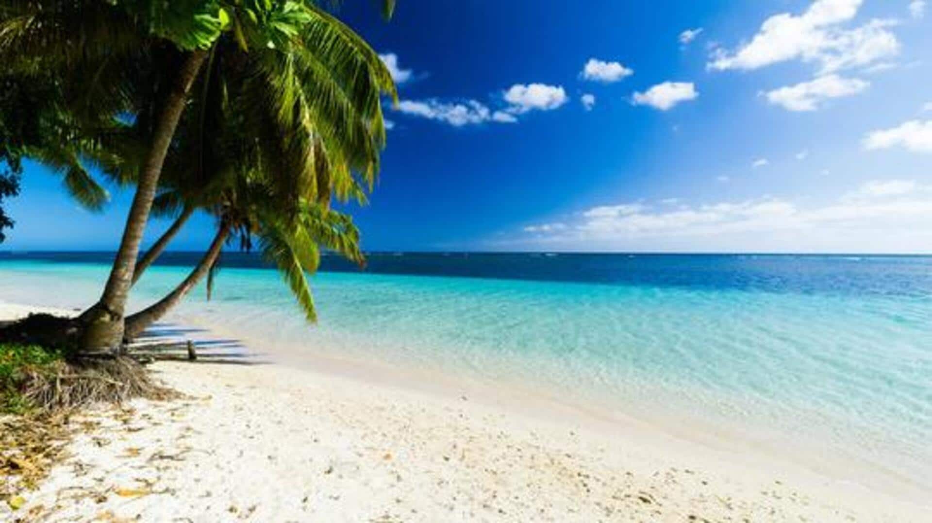 Things to see and do in Samoa