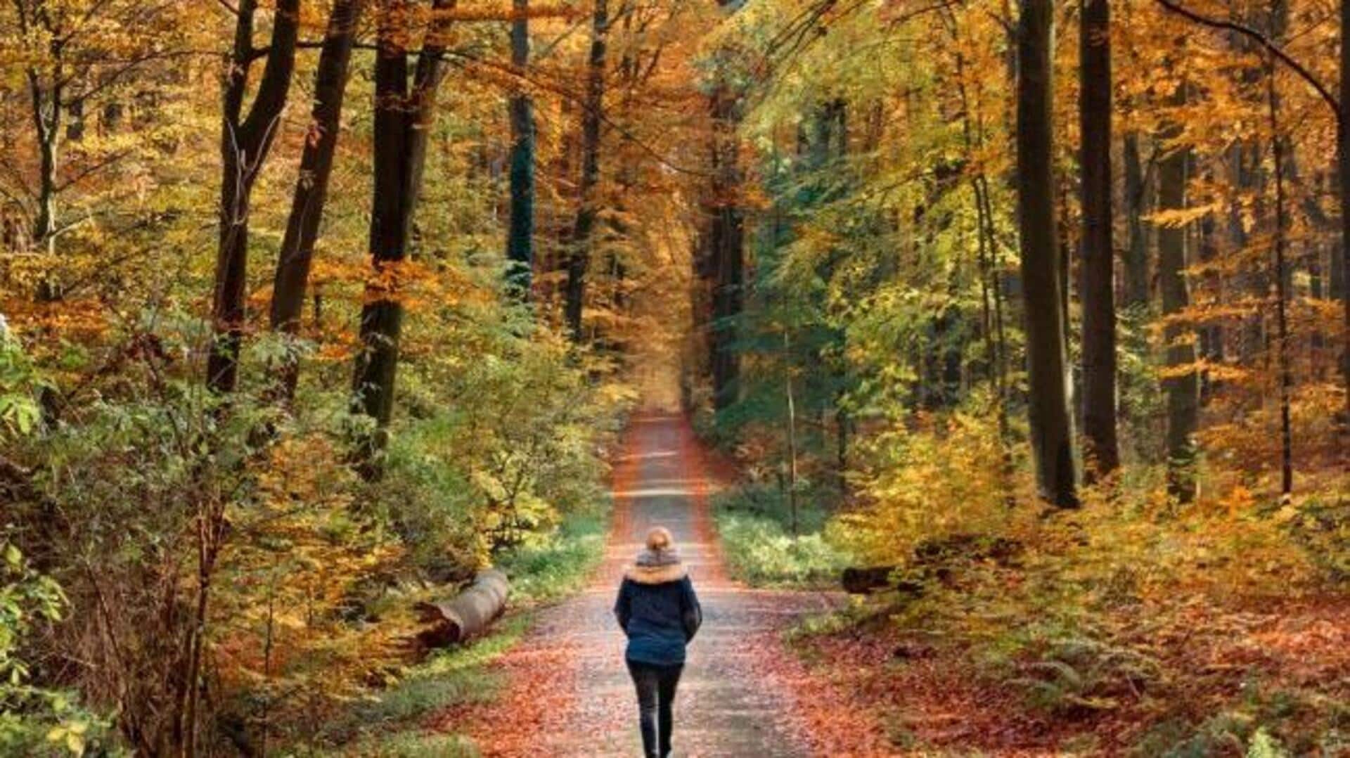 How to practice silent walking meditation How to practice silent walking meditation