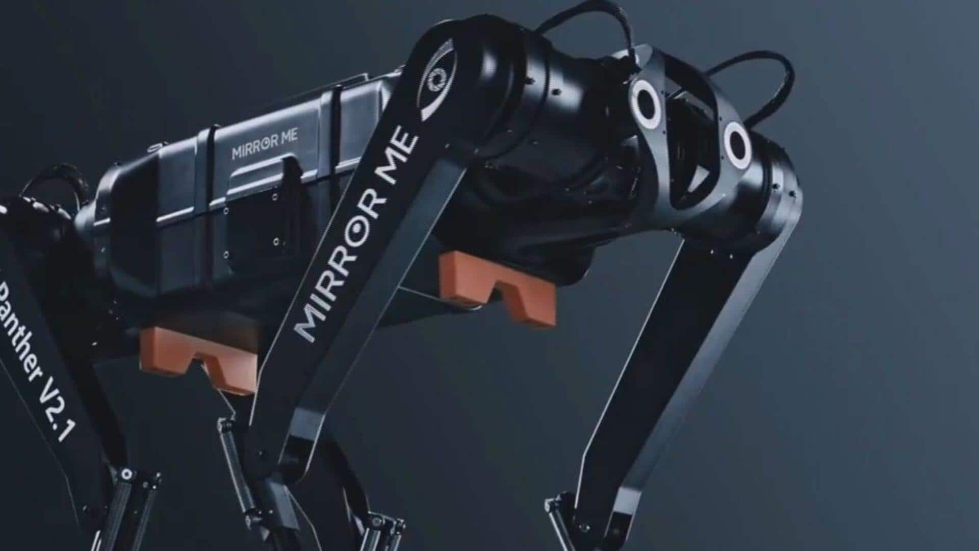 This Chinese robot dog is faster than Boston Dynamics' WildCat This Chinese robot dog is faster than Boston Dynamics' WildCat