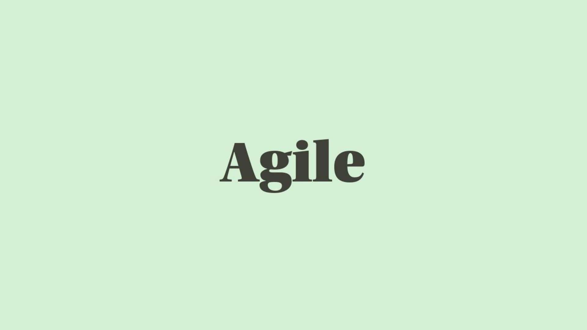 Word of the Day: Agile 