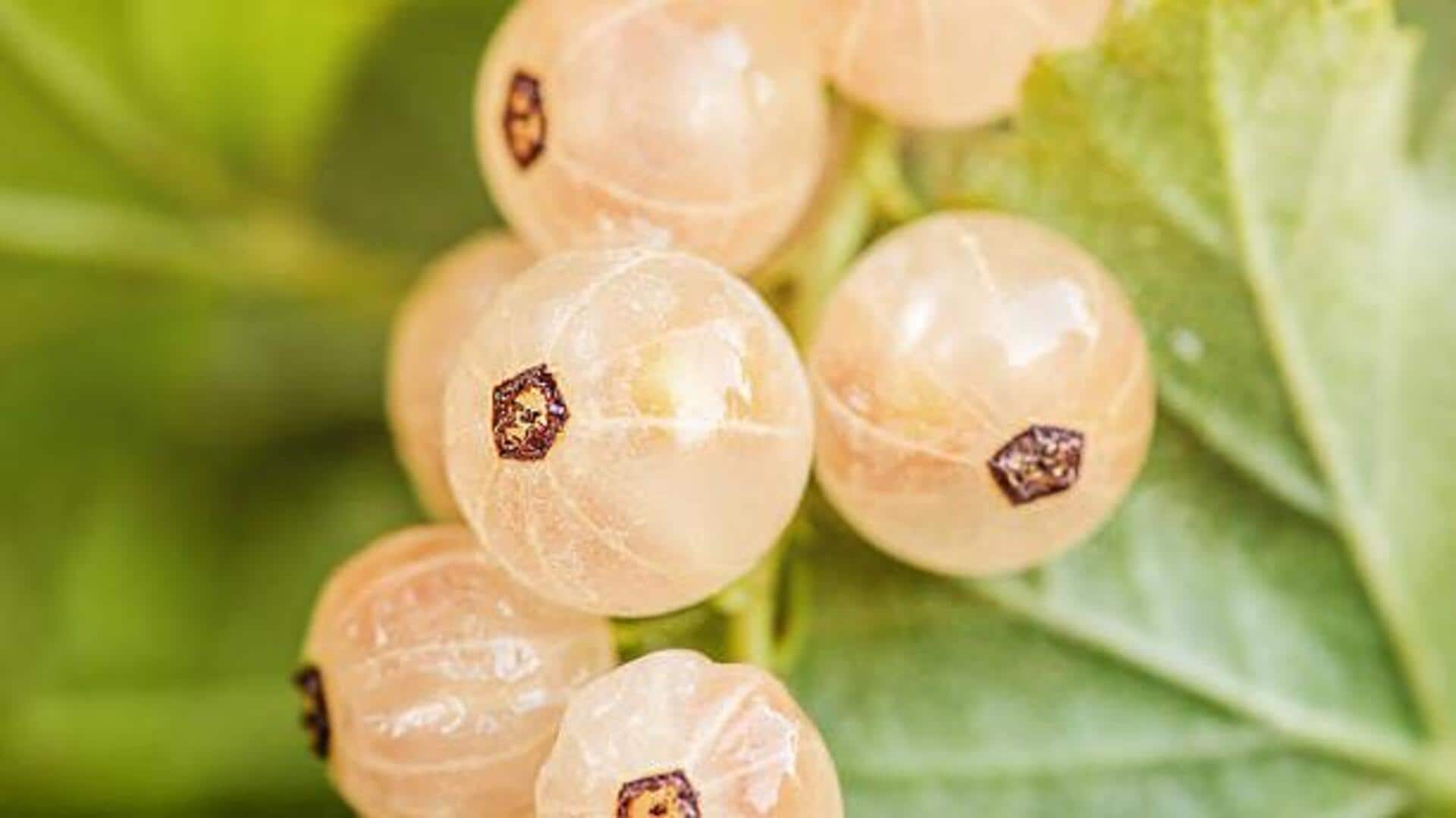 Forget blueberries, white currants deserve the spotlight 
