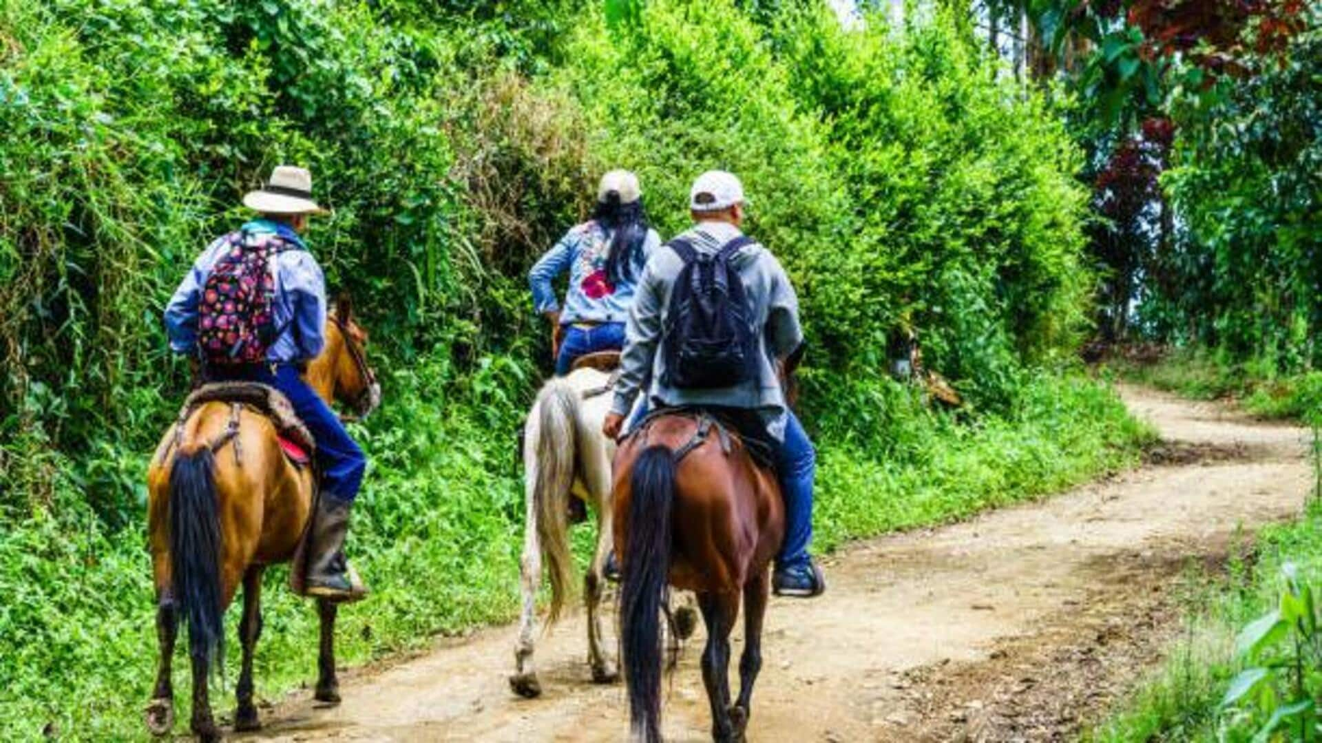 Saddle up: Where to experience the best horseback treks 