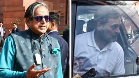 'Rahul...a leader with clear political stand': Tharoor rejects rift speculation 