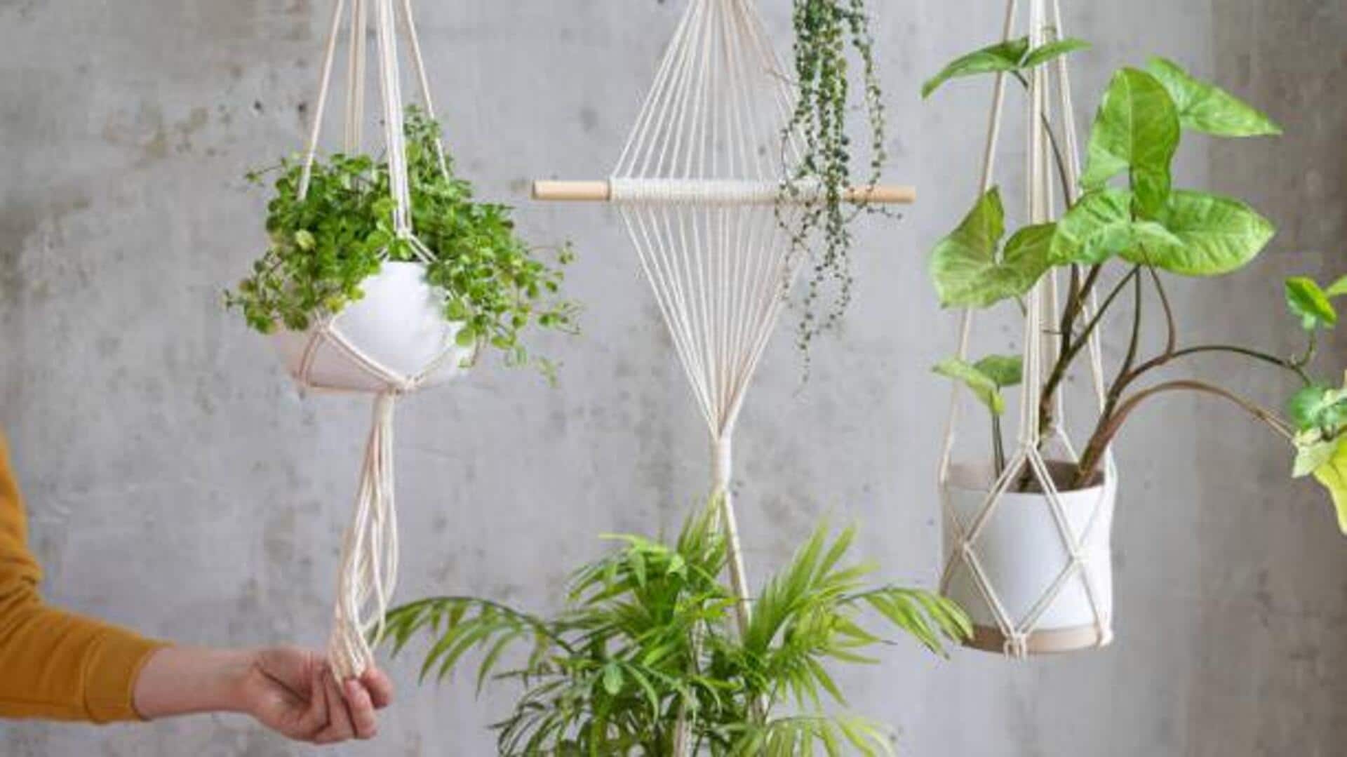 This DIY planter can add charm to any room 