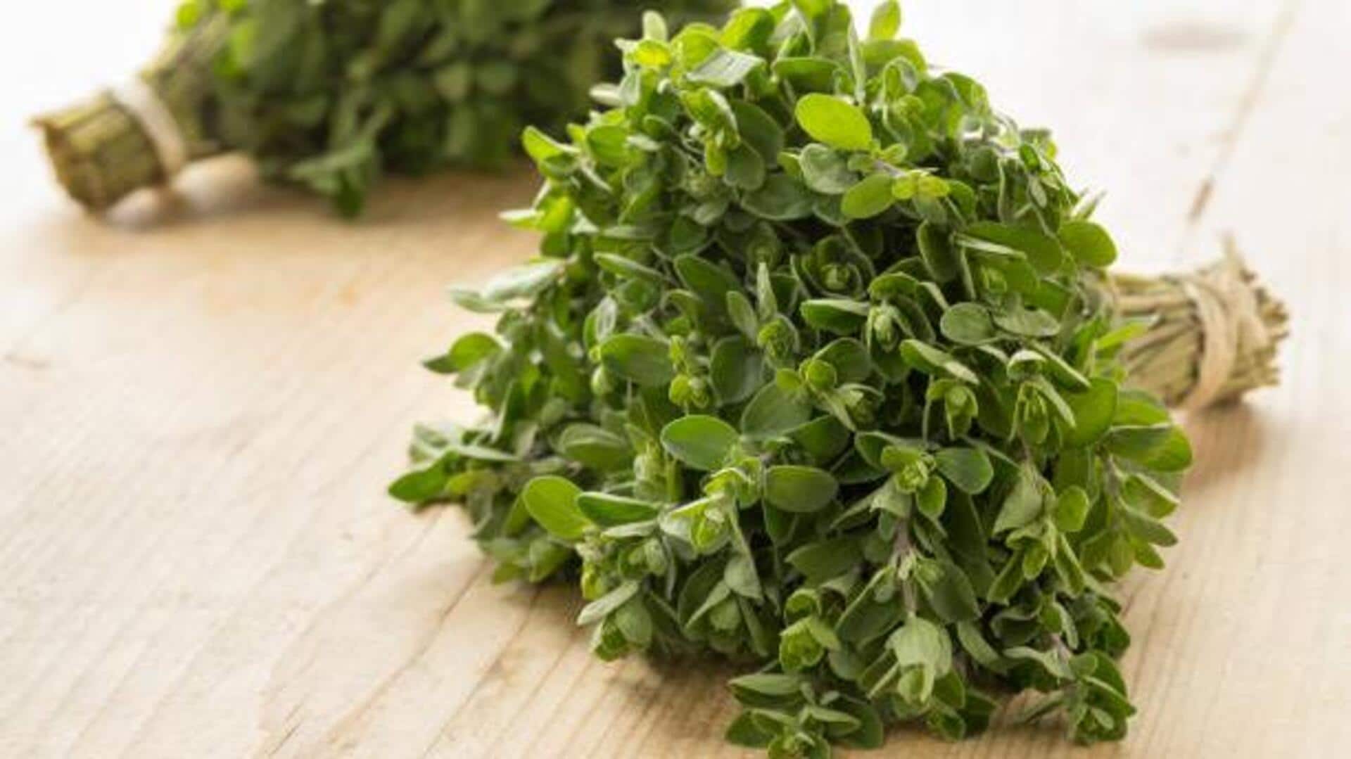 Marjoram: Herb with surprising health benefits Marjoram: Herb with surprising health benefits