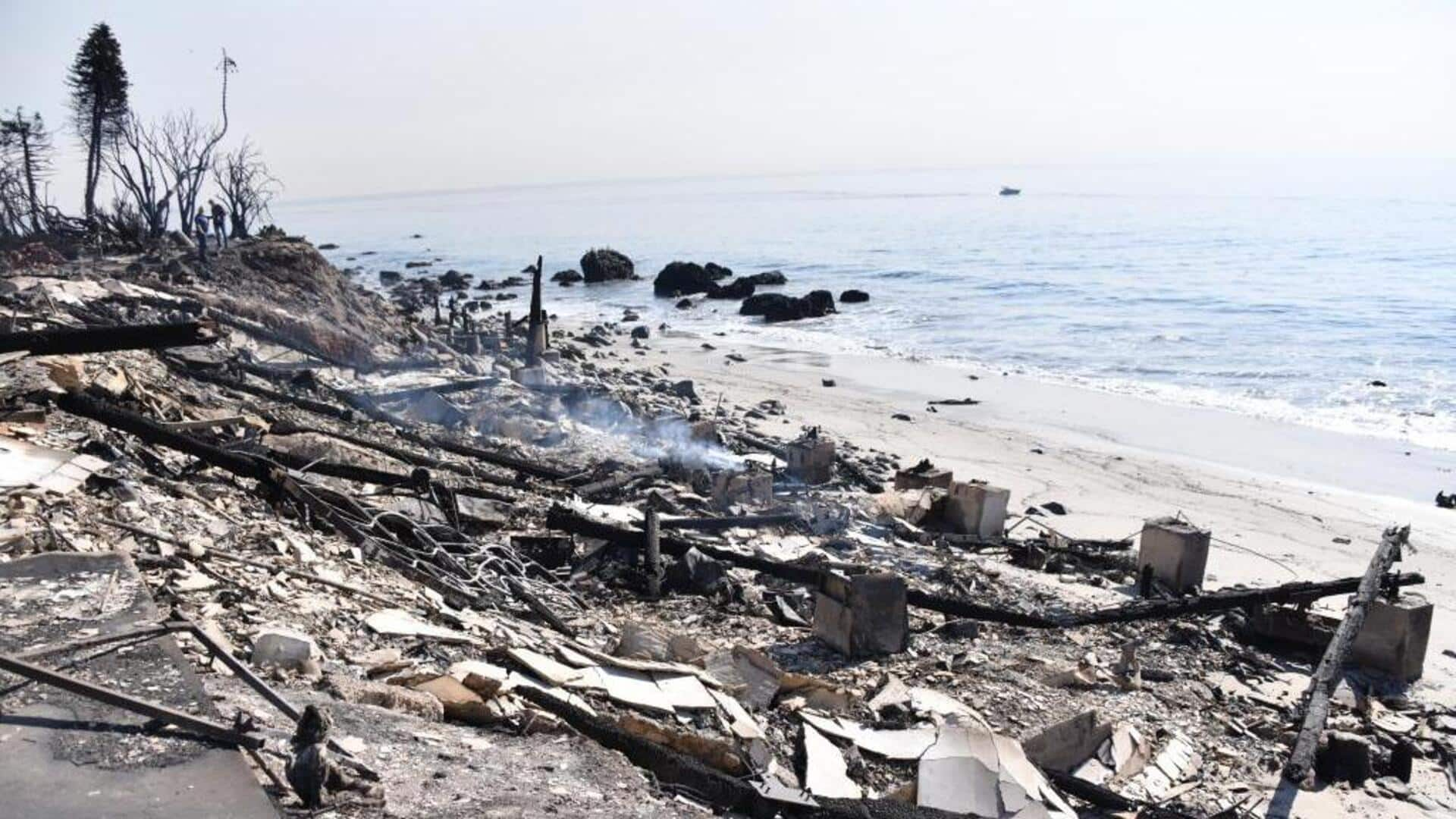 California wildfires destroy Powerball billionaire Edwin Castro's $3.8M Malibu home