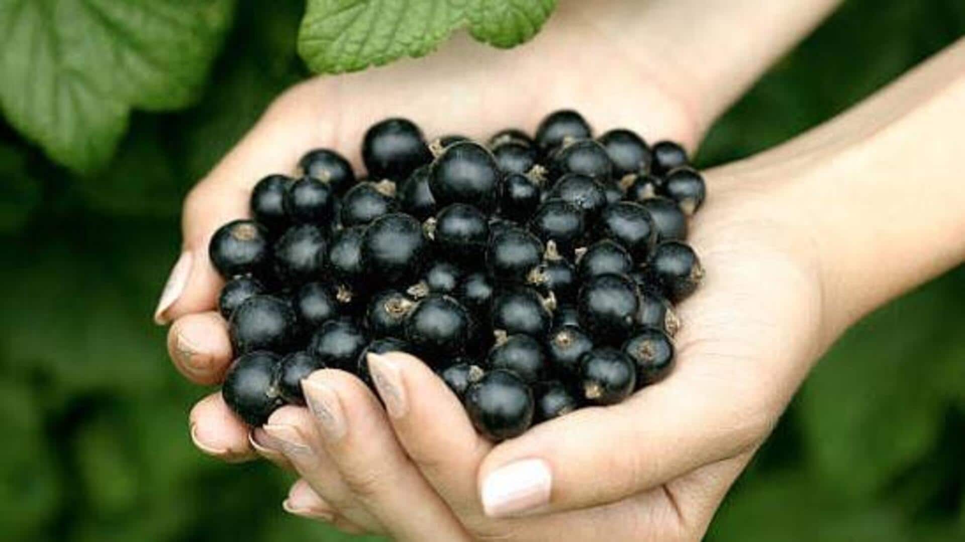 Why blackcurrants are considered a superfood