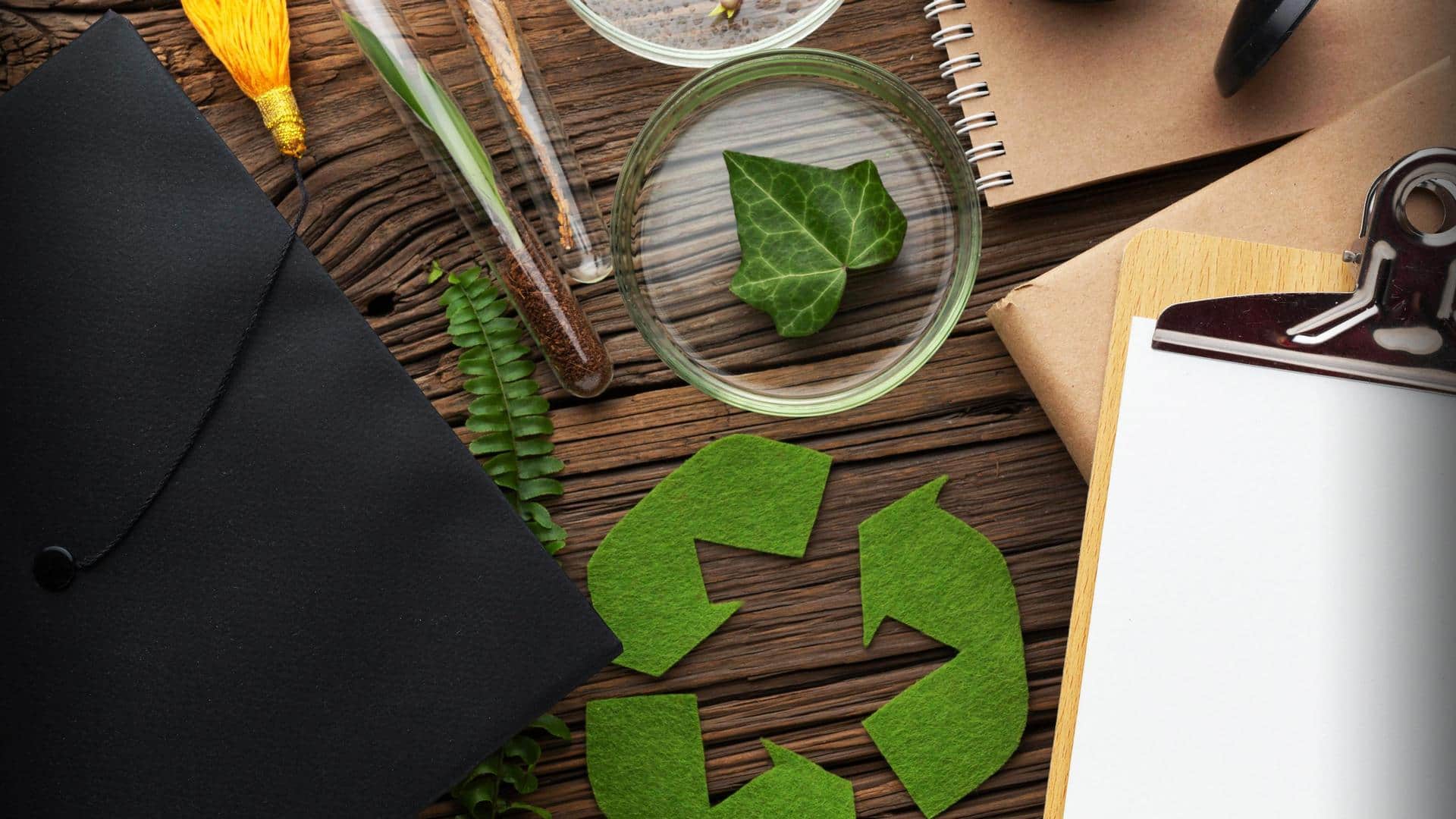 Zero Waste Living: A beginner's guide to sustainable living