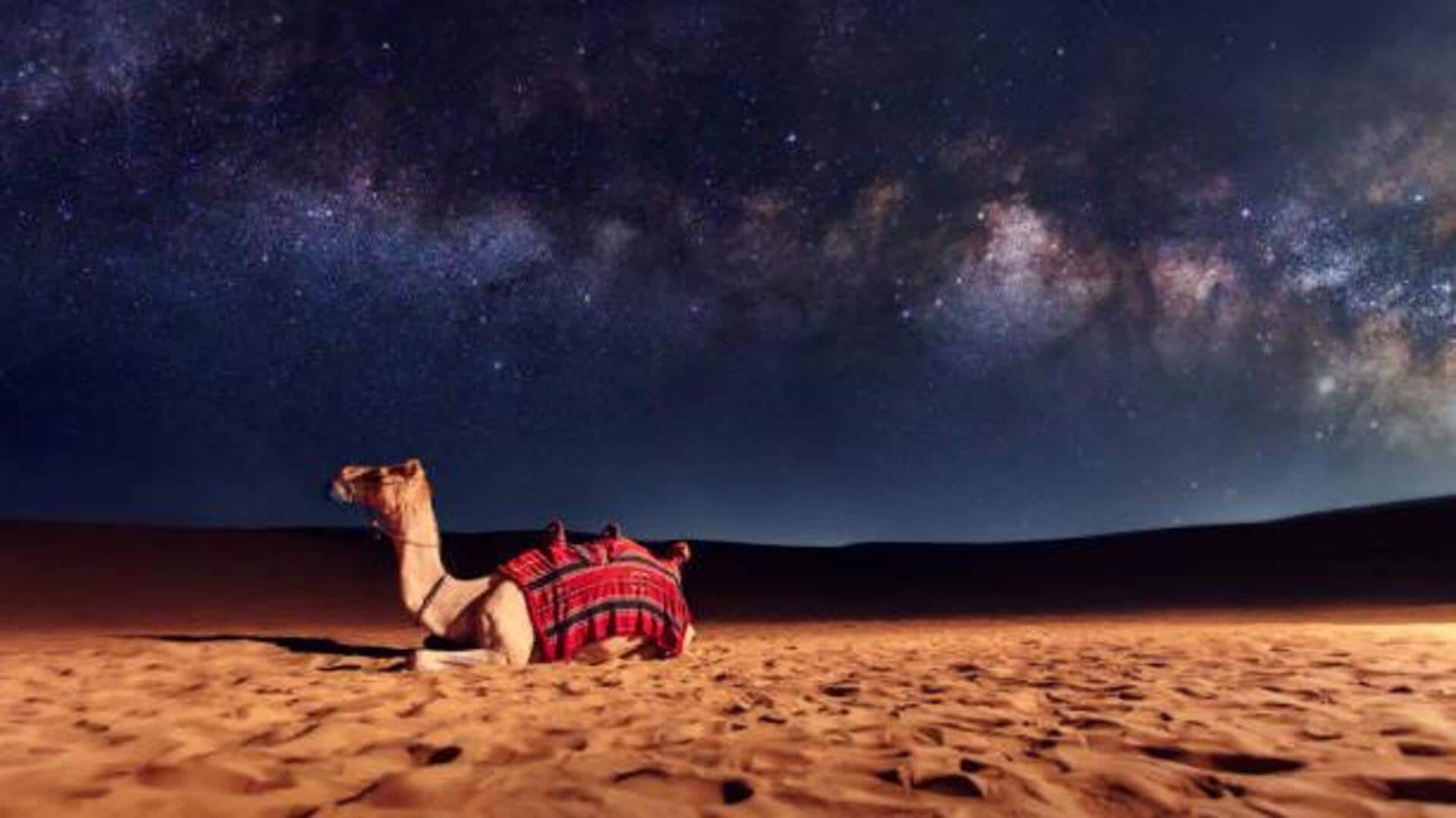 Nighttime adventures: Desert safaris in India