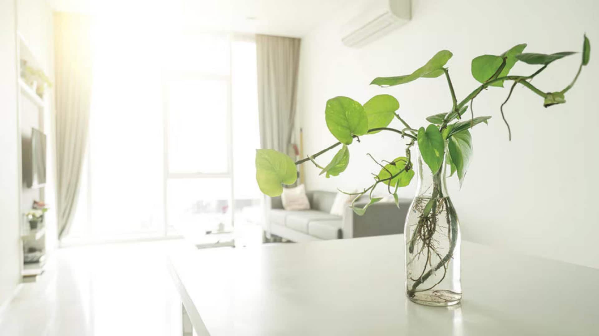 Staying at home could expose you to indoor air pollution