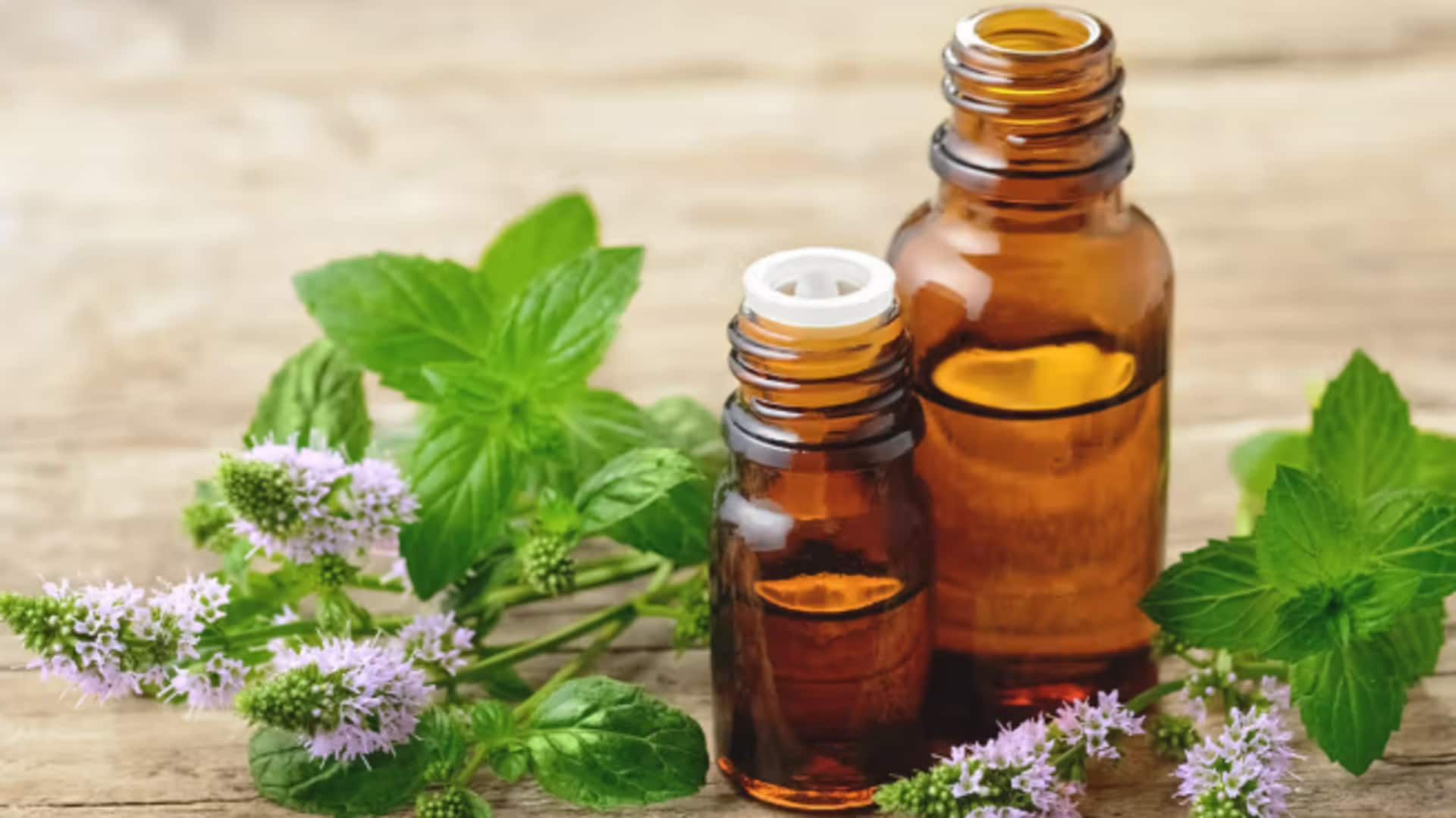 Peppermint oil: Miracle solution or a myth?