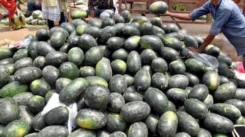 4 Mumbai family members die suddenly after eating watermelon 