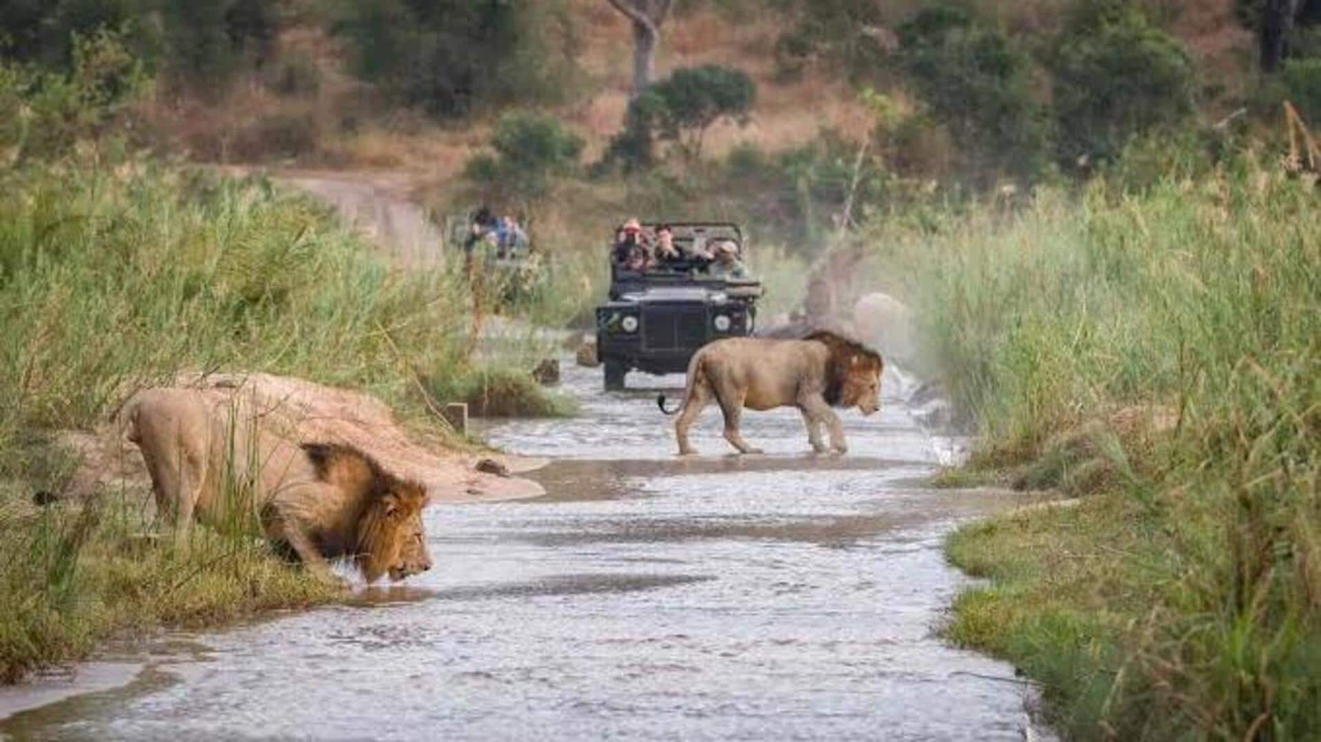 Pendjari National Park: A wildlife gem in Benin