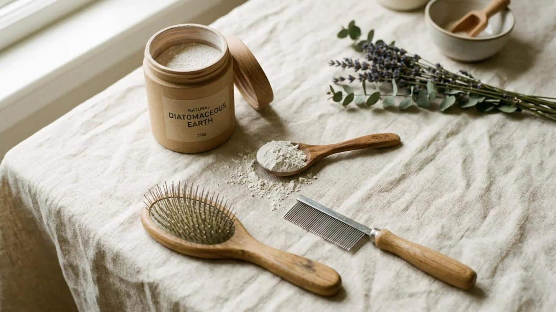 What is diatomaceous earth? 