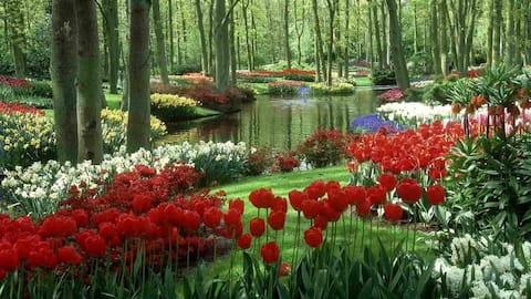 Enchanting gardens of the world that define nature's artistry