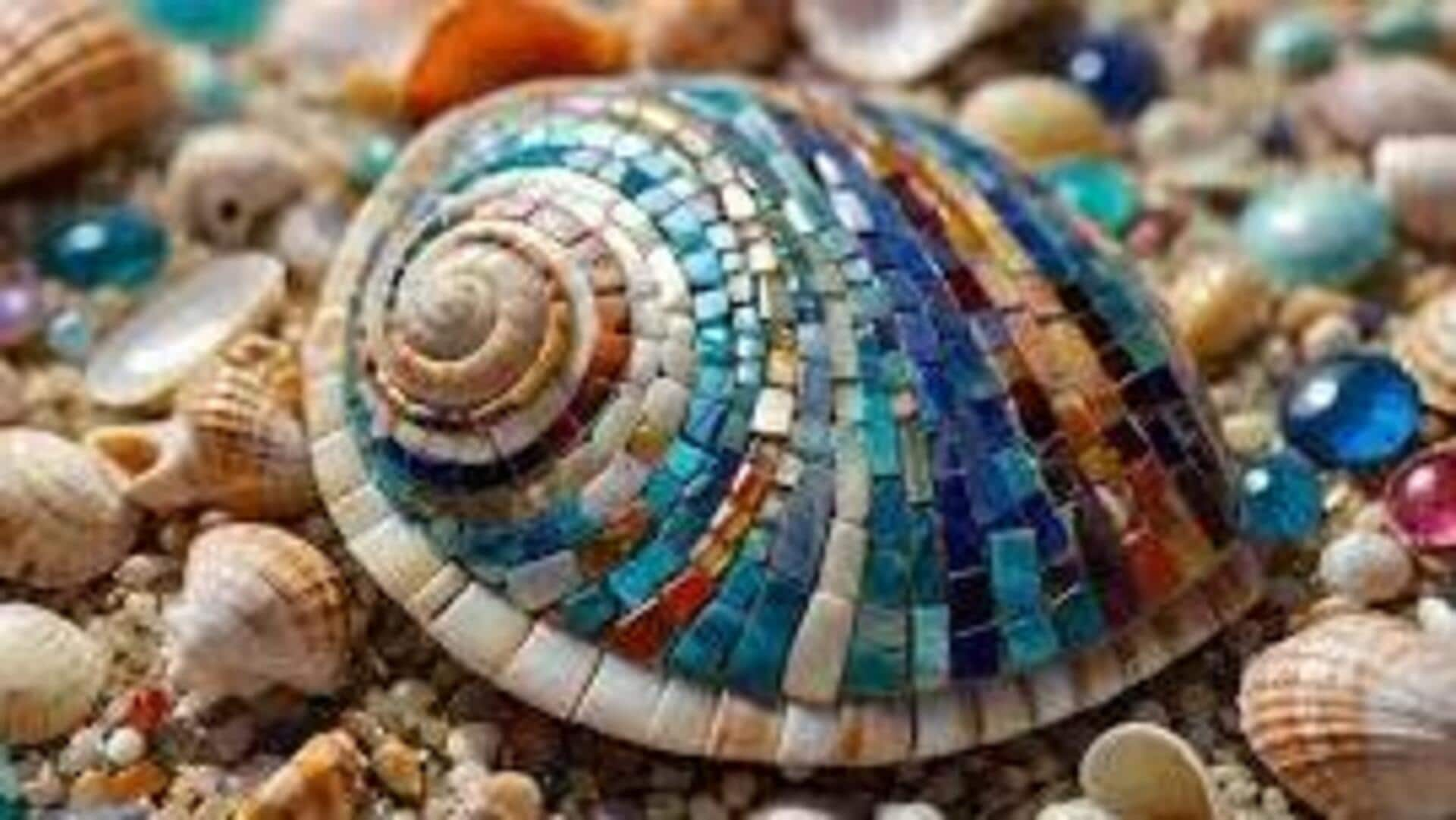 Exploring seashell mosaic art: A beginner-friendly guide