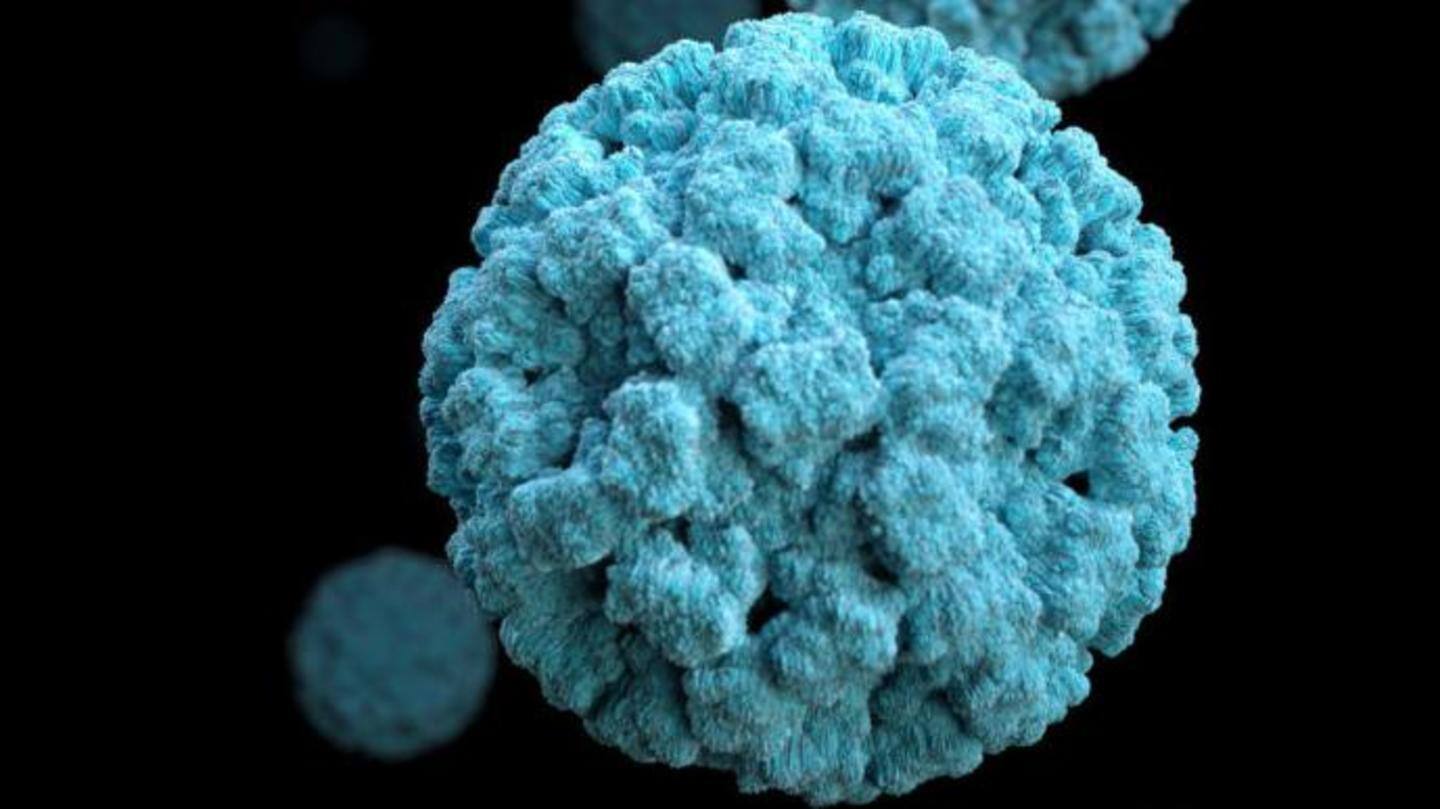 What is norovirus?