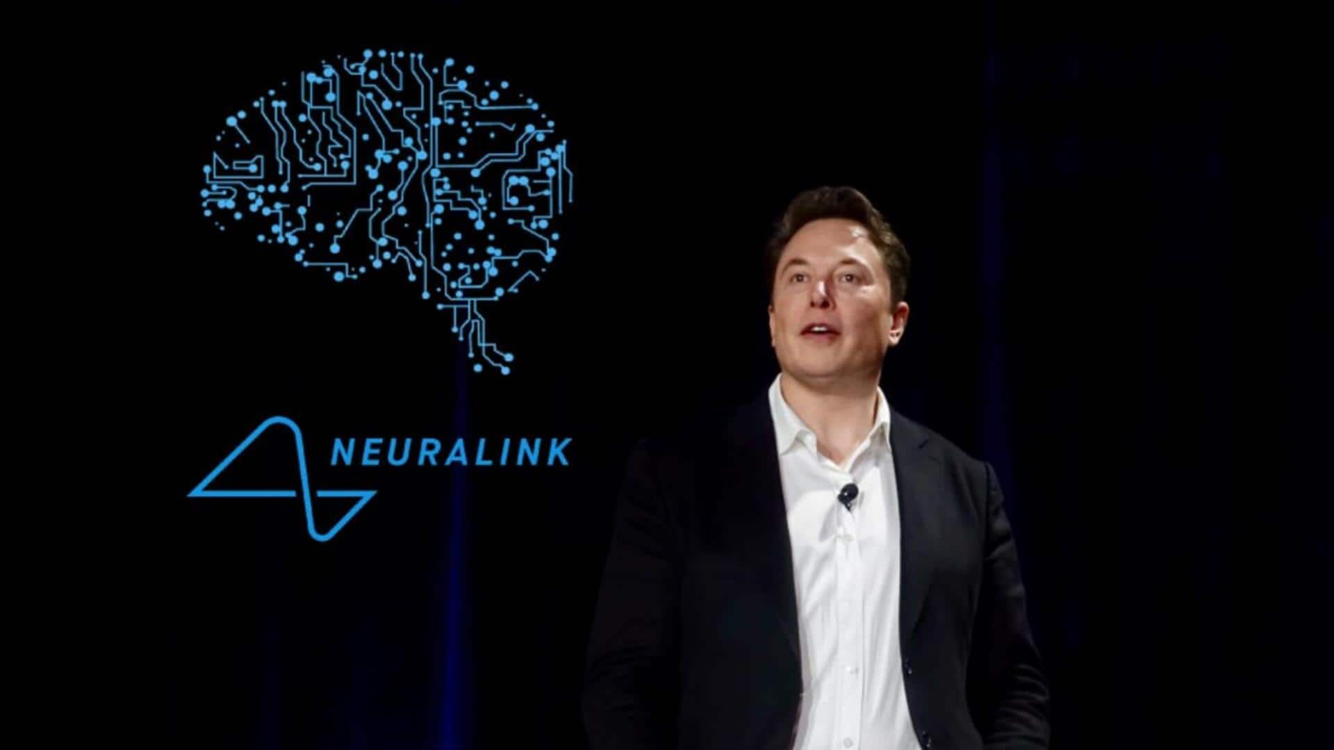 Musk's Neuralink test monkeys died due to implants, claims report