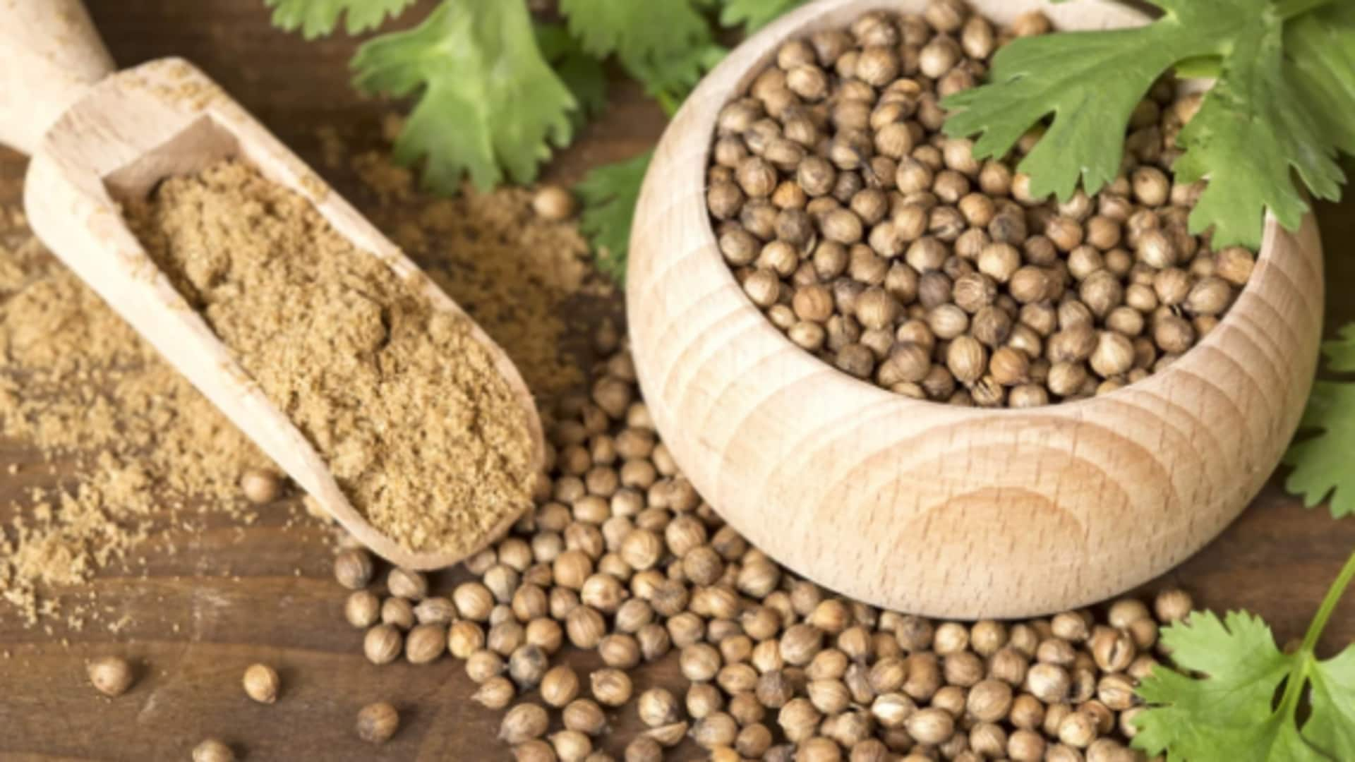 Coriander's blood sugar regulation benefits explored