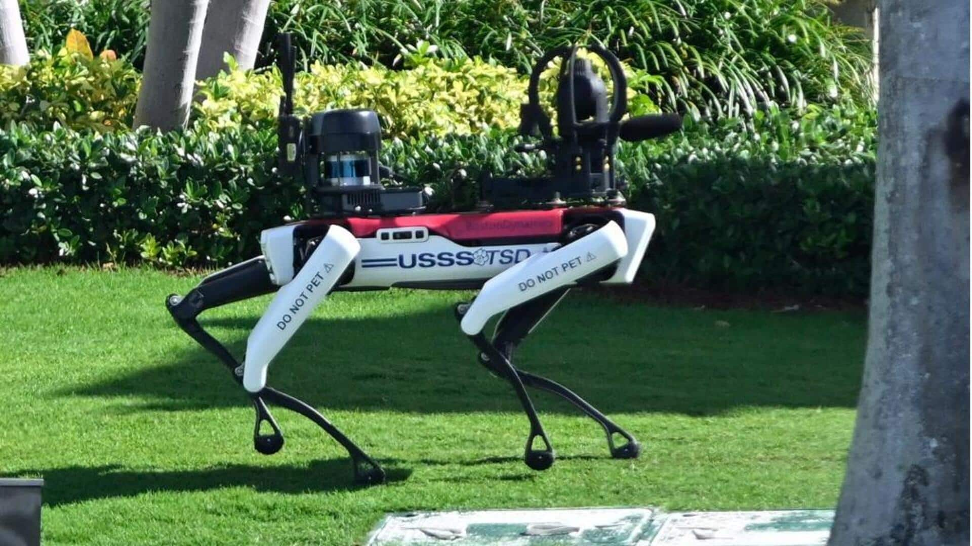 Robotic dog now part of Trump's security detail at Mar-a-Lago