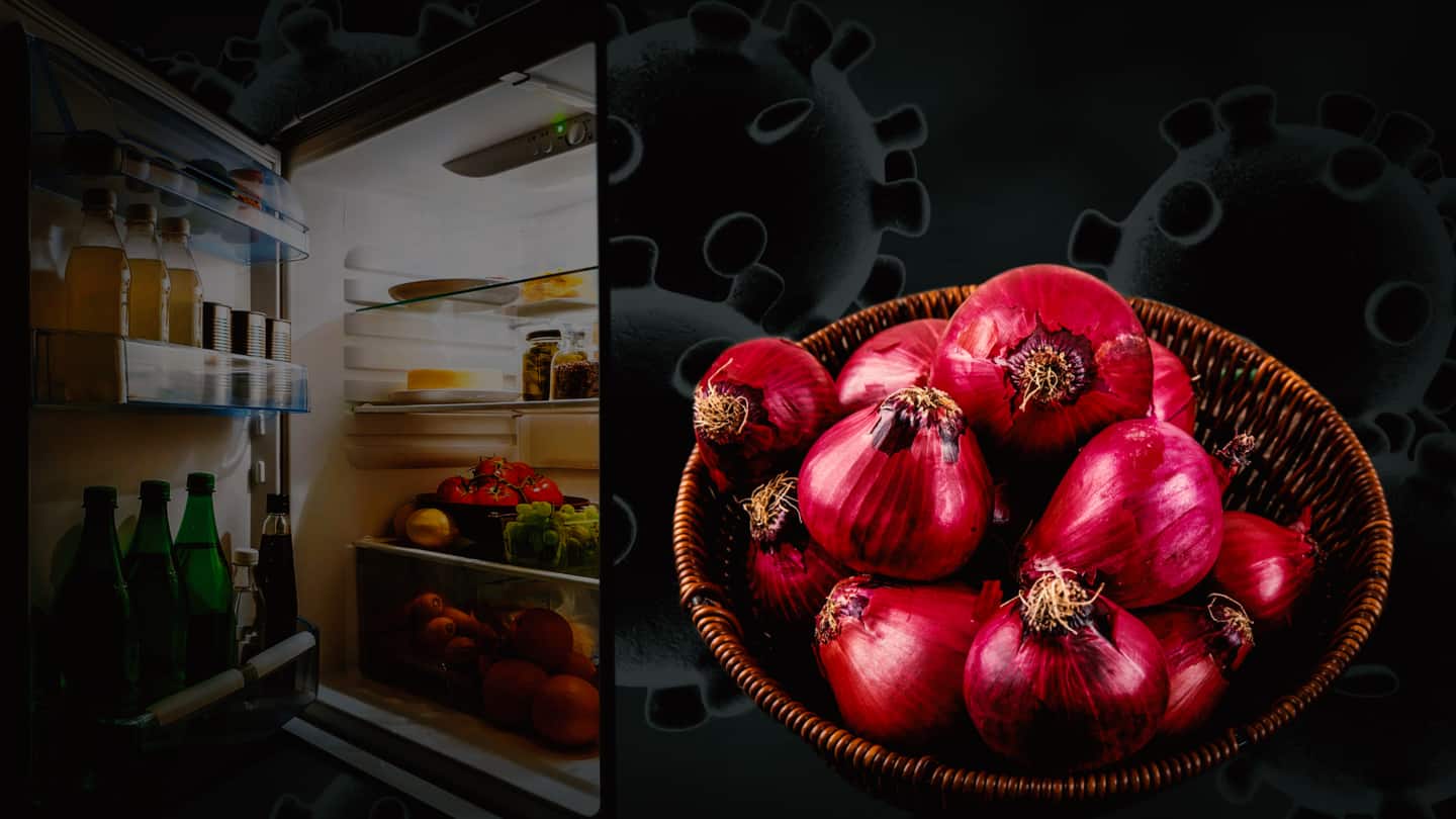 Can you catch 'Black fungus' from your refrigerator or onions?