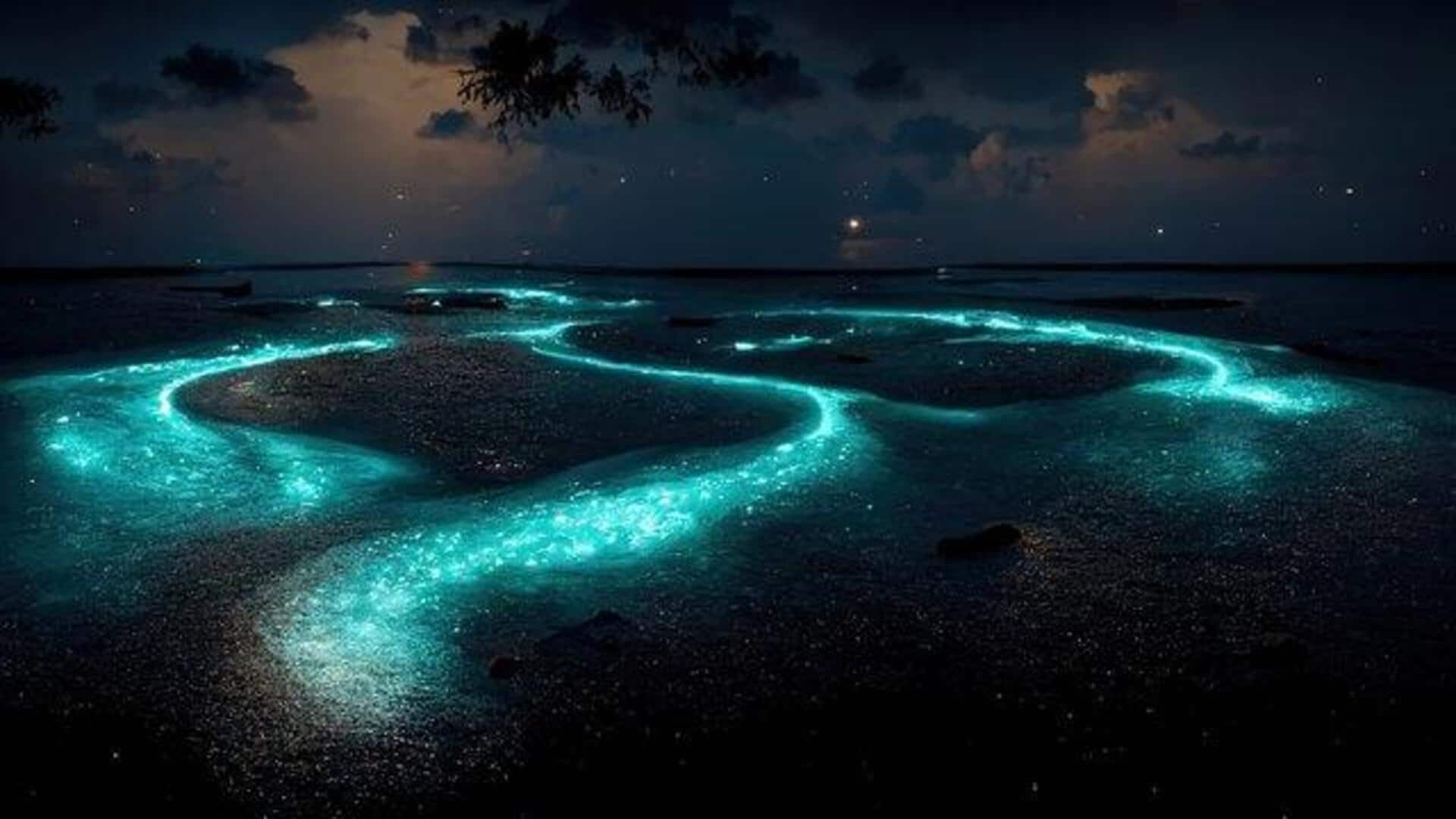 A guide to bioluminescent beach volleyball