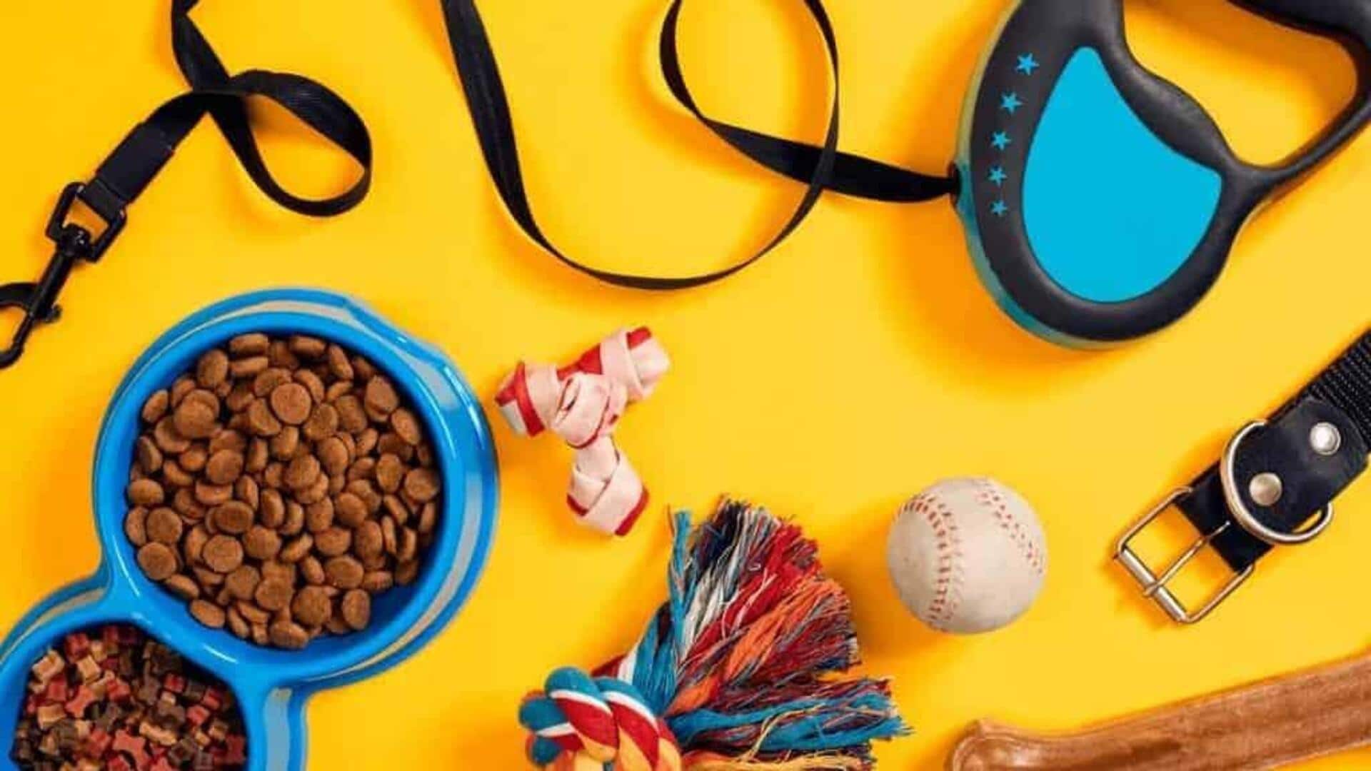 Smart ways to organize your pet's accessories