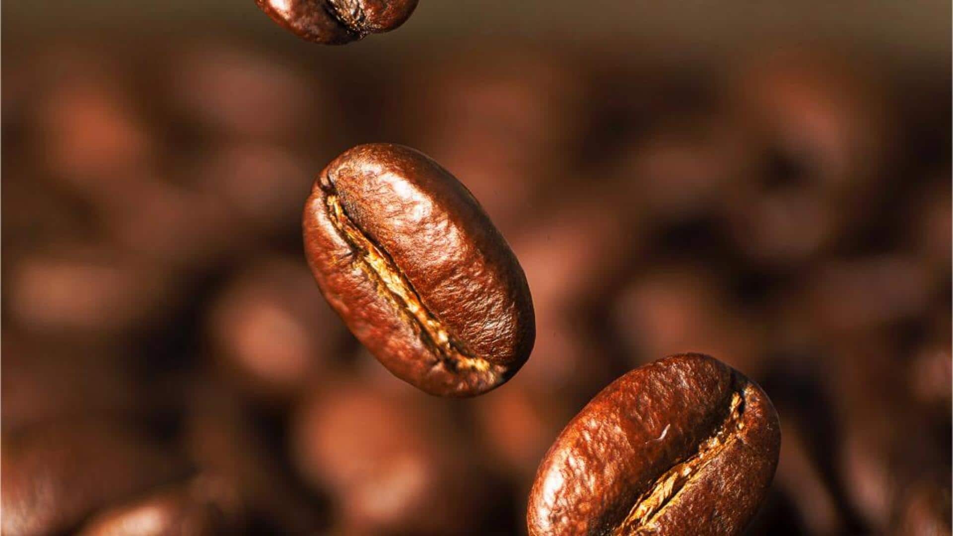 Benefits of robusta coffee beans you probably didn't know 