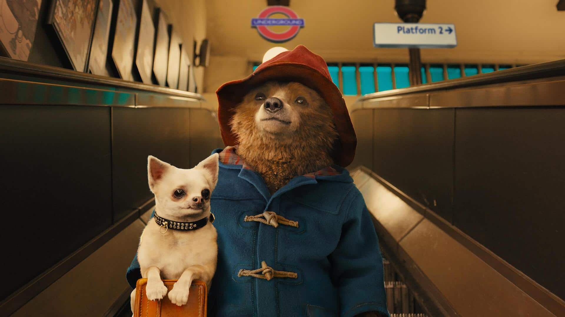 Paddington Bear: Beloved British icon to shine in musical adaptation