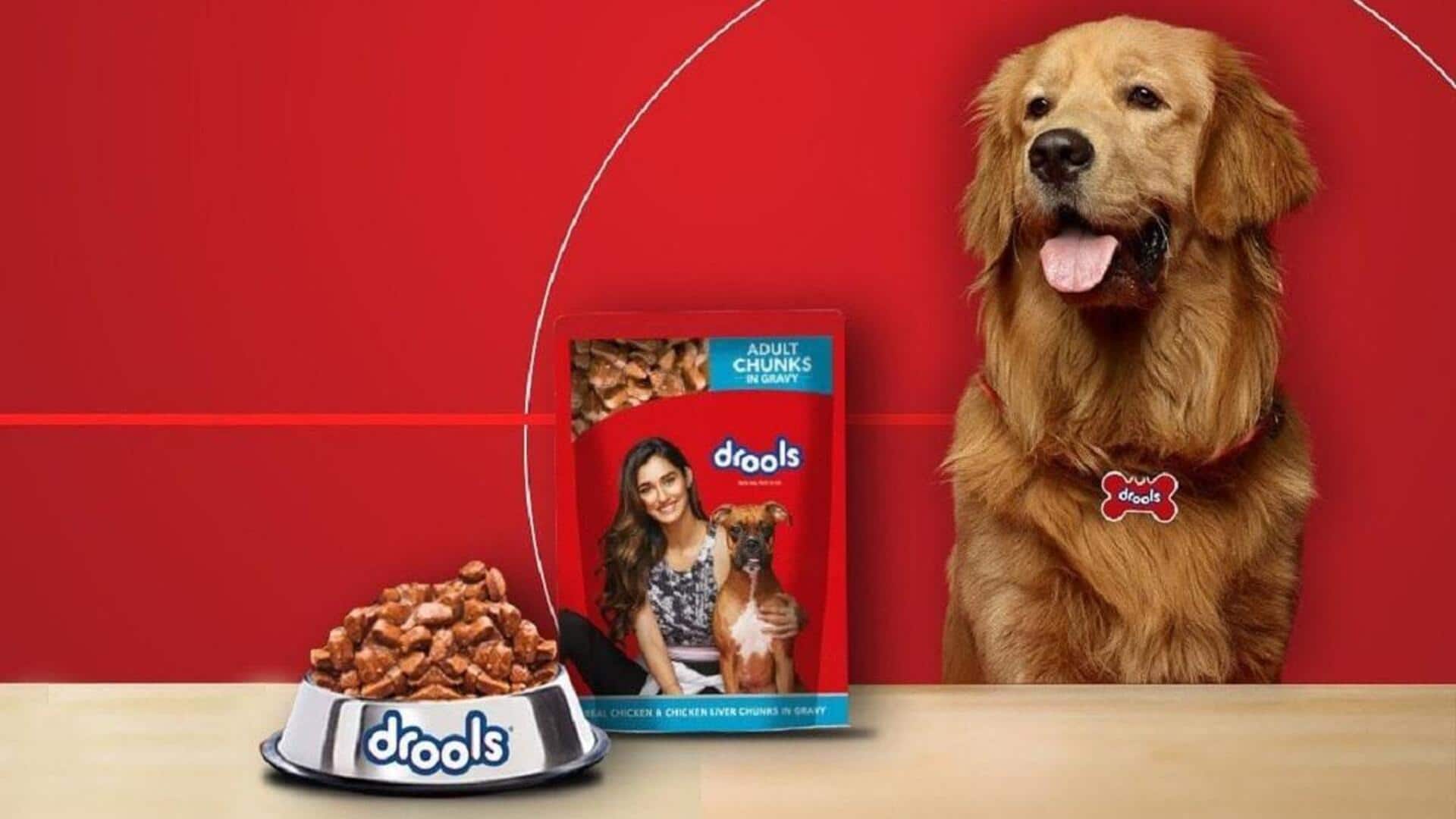 Drools has become India's 1st pet food unicorn Drools has become India's 1st pet food unicorn