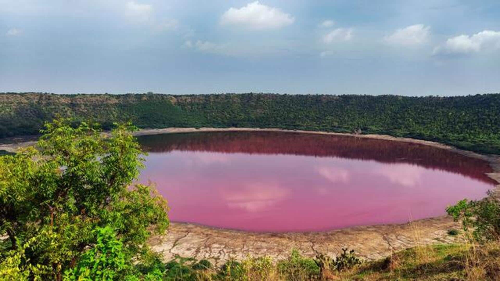 Maharashtra's hidden gems: 5 natural wonders Maharashtra's hidden gems: 5 natural wonders